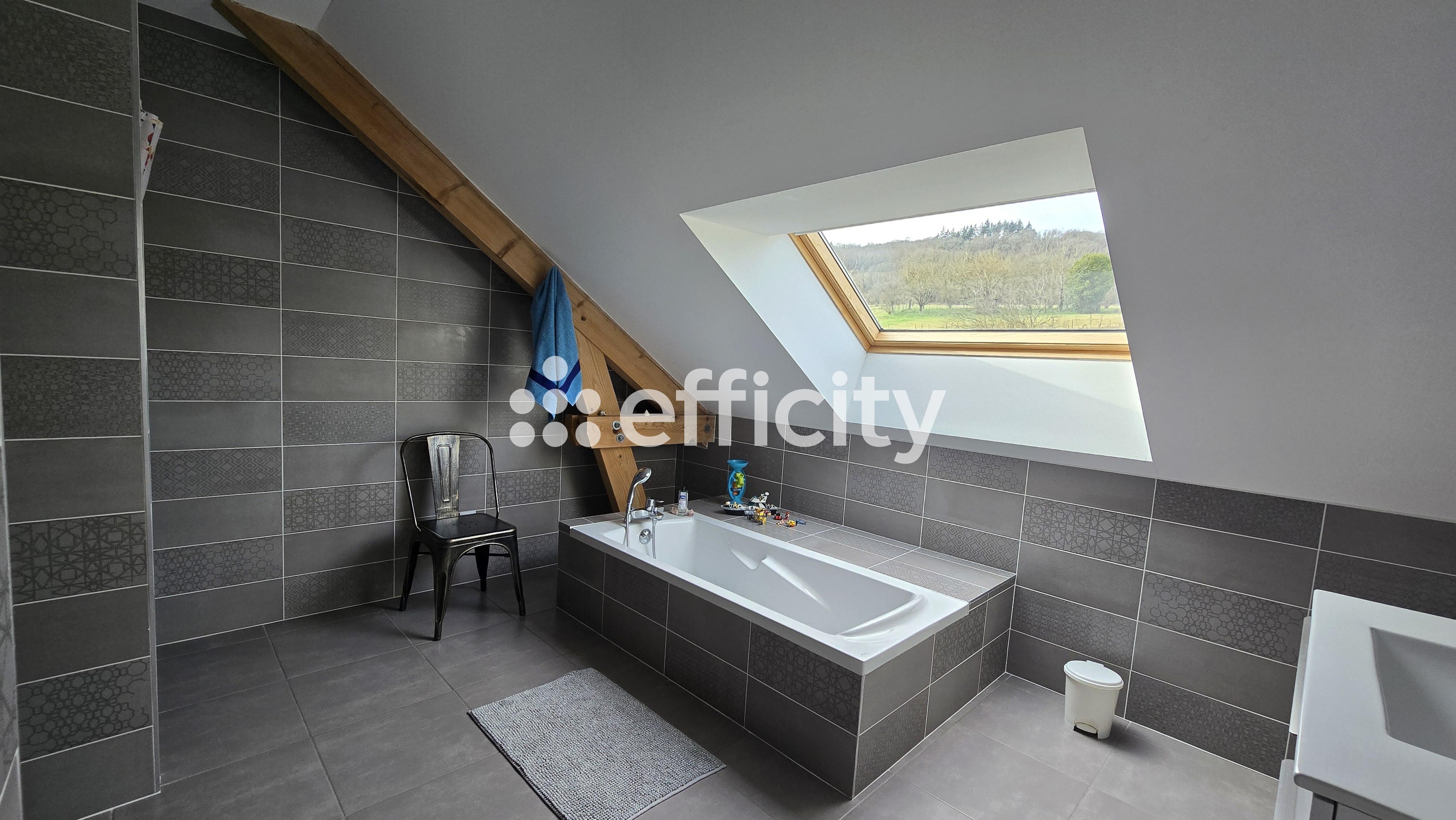 Achat immobilier Maison 5 pièces  181m2 à Cressin-Rochefort (01350) - Photo n°29