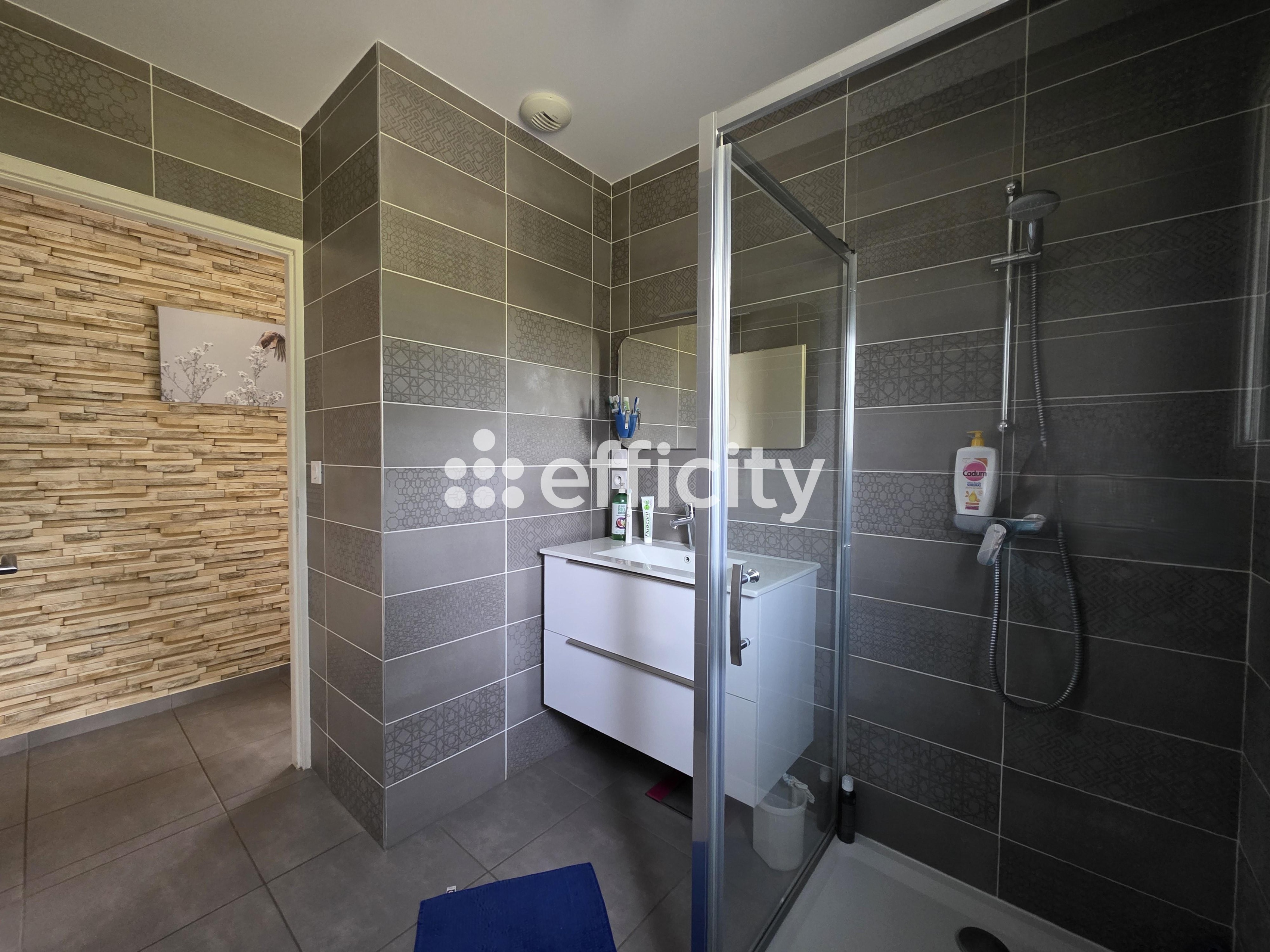 Achat immobilier Maison 5 pièces  181m2 à Cressin-Rochefort (01350) - Photo n°16