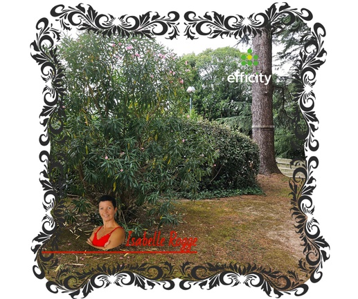 appartement 3 pièces - 82m2 à Bayonne (64100)