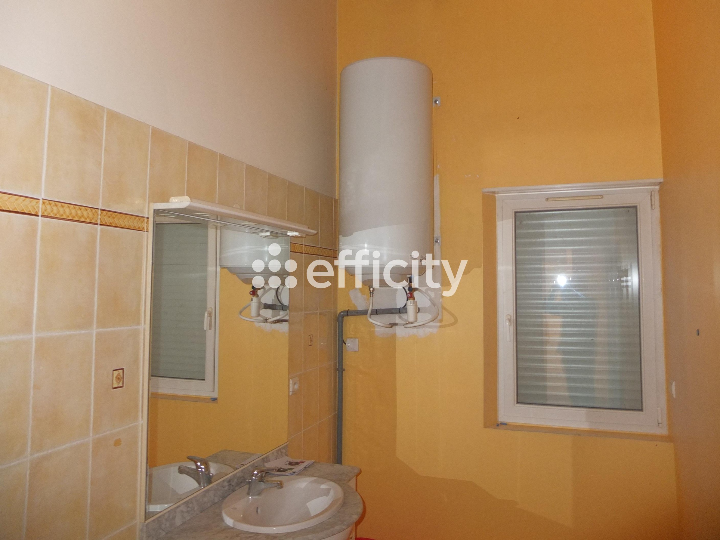 Achat immobilier Maison 4 pièces  118m2 à Saint-Denis (30500) - Photo n°6