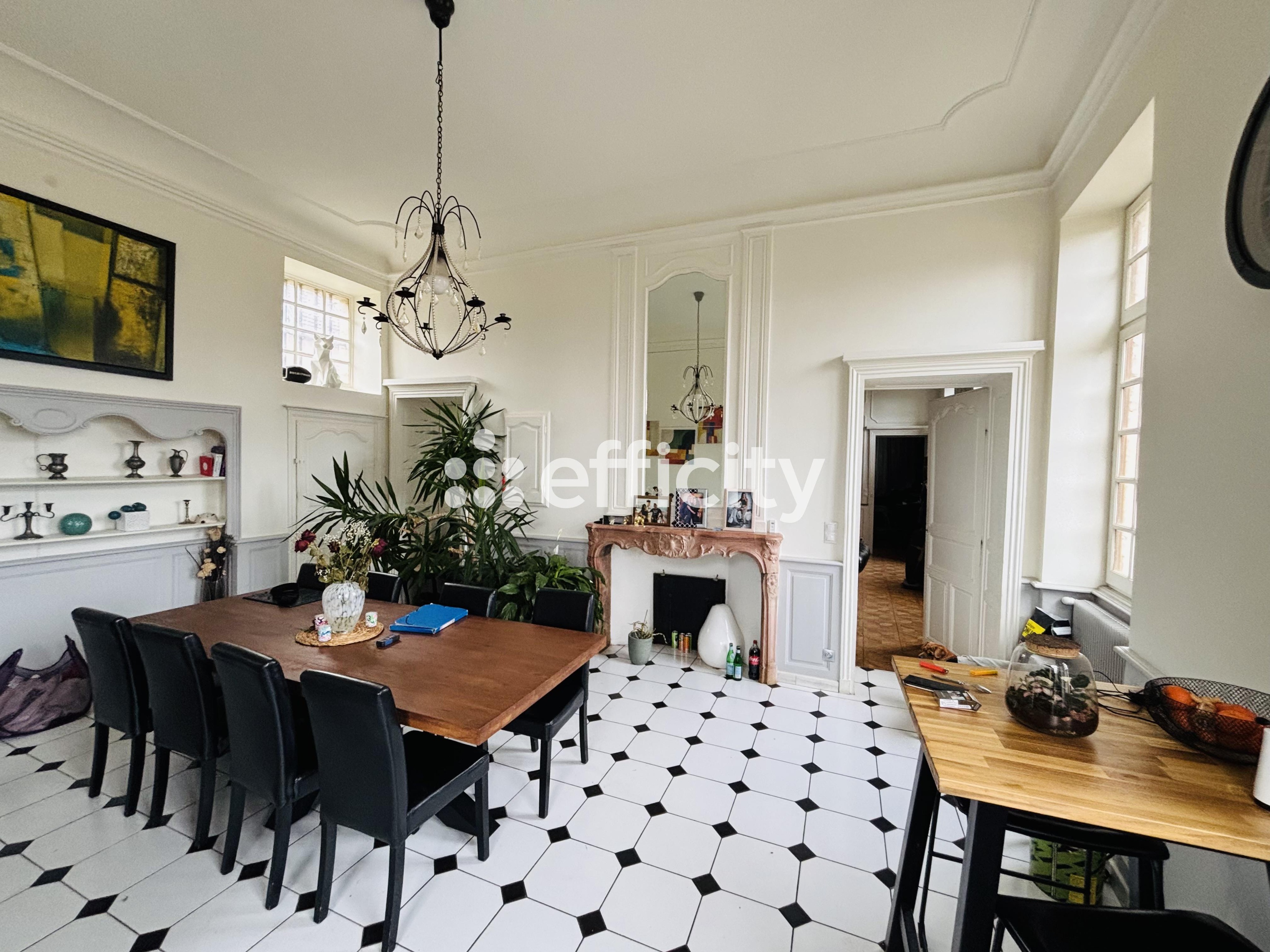 Achat immobilier Maison 6 pièces  420m2 à Ternant (21220) - Photo n°4