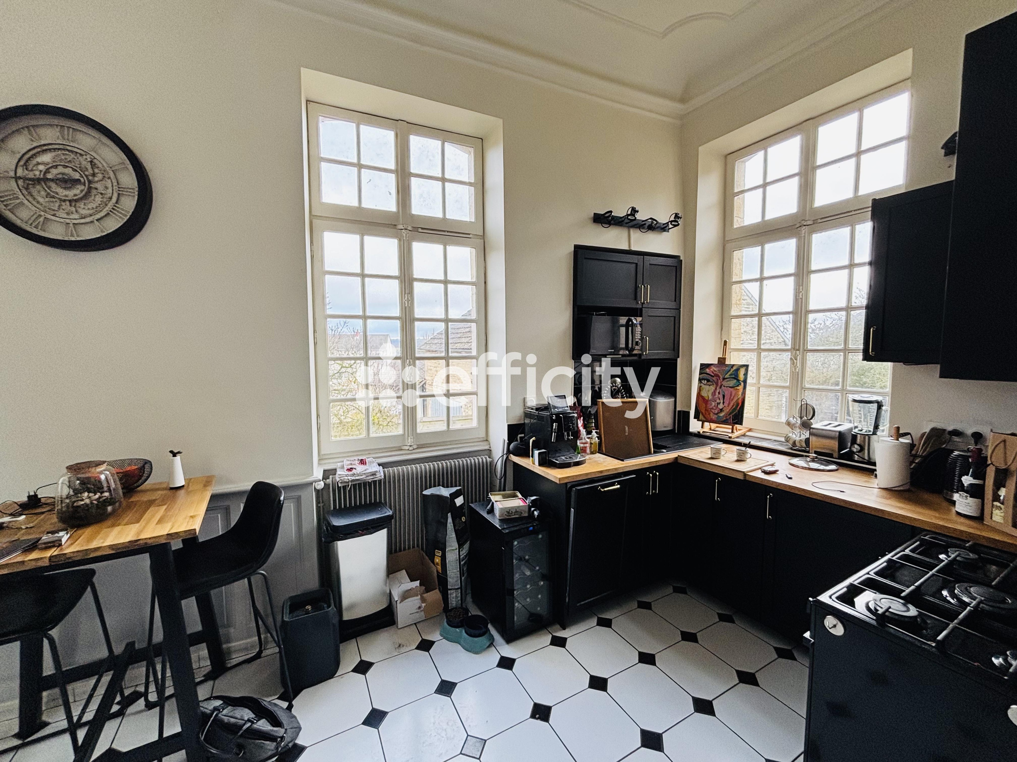 Achat immobilier Maison 6 pièces  420m2 à Ternant (21220) - Photo n°5