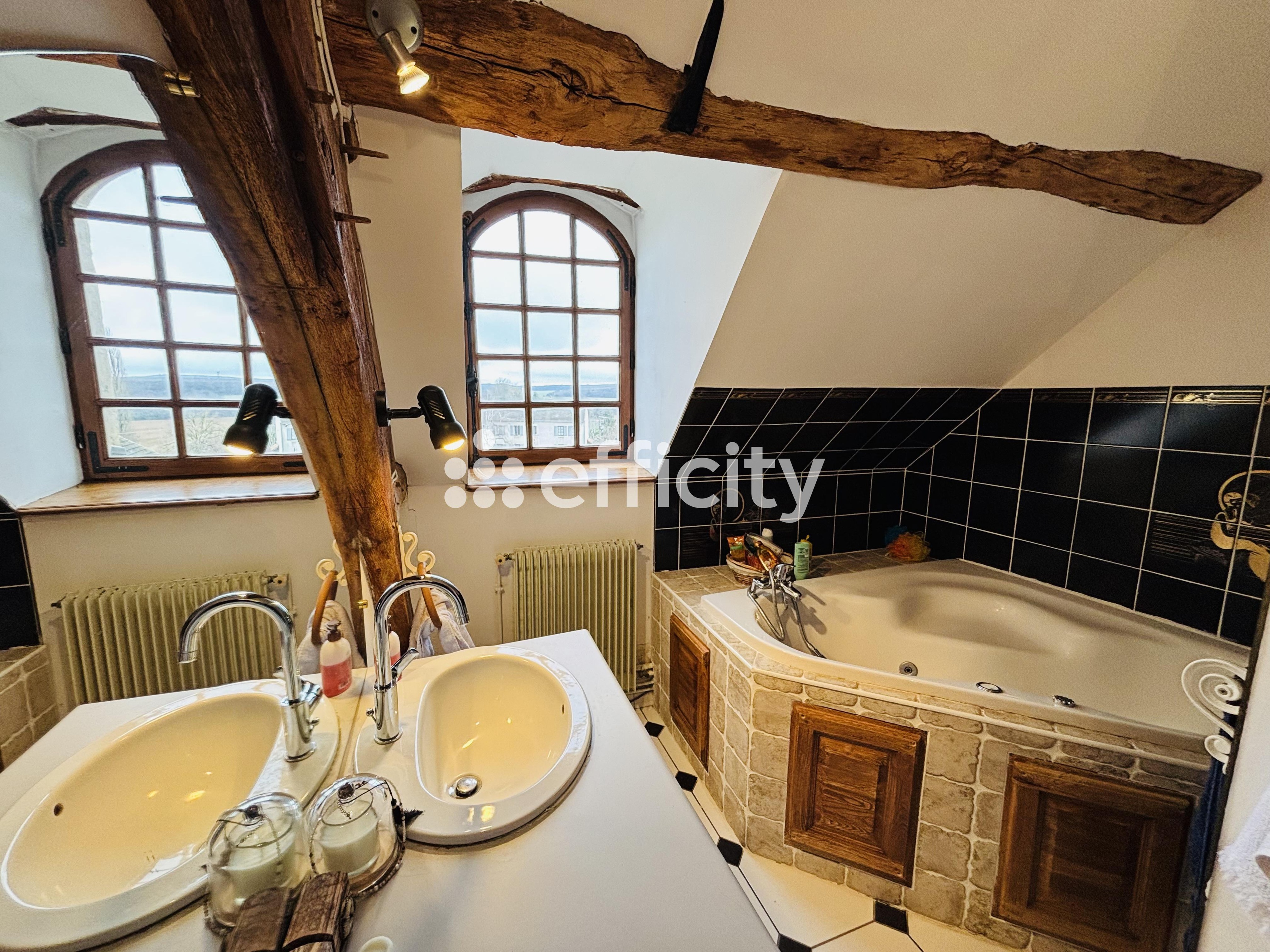 Achat immobilier Maison 6 pièces  420m2 à Ternant (21220) - Photo n°11