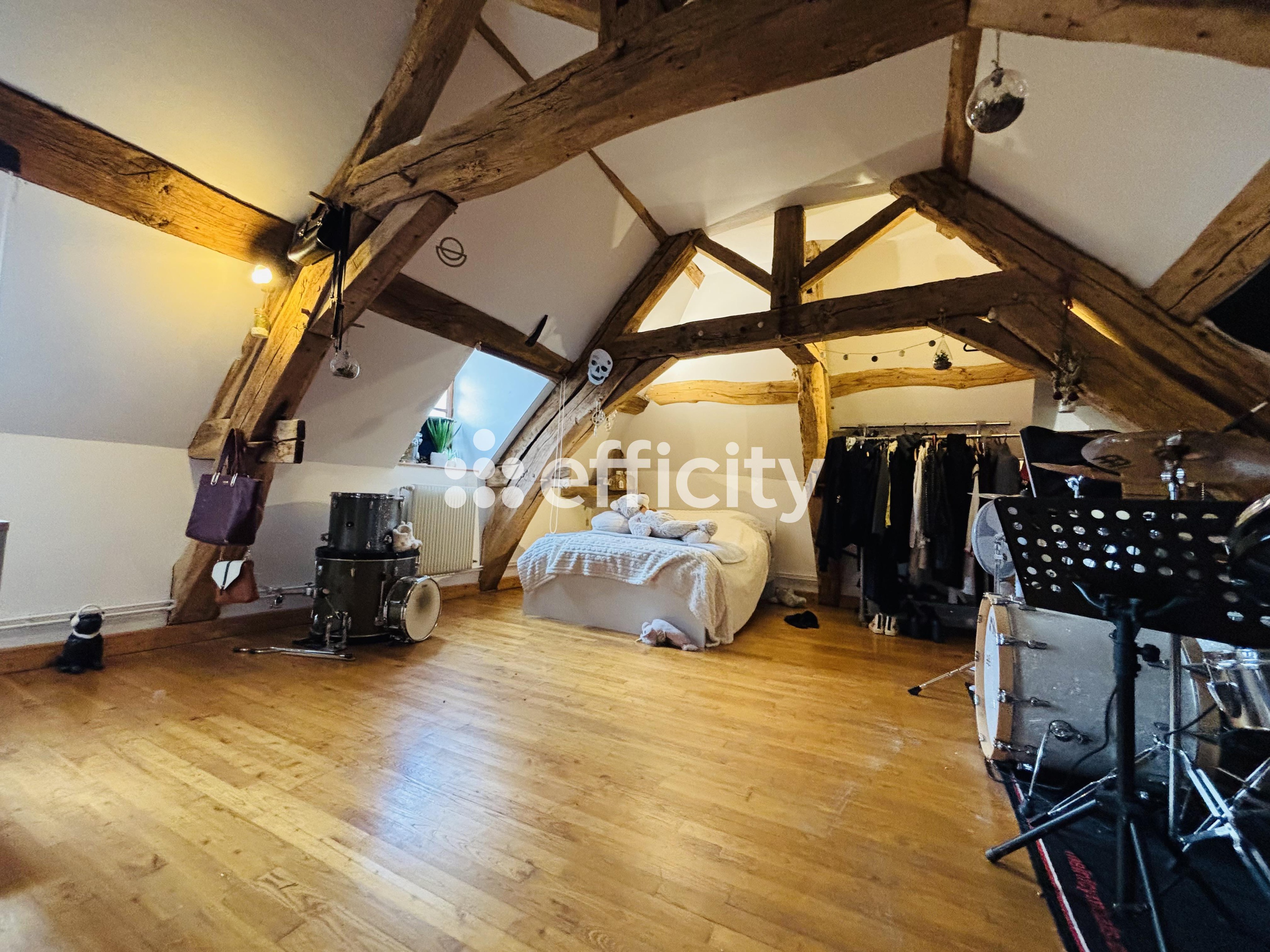 Achat immobilier Maison 6 pièces  420m2 à Ternant (21220) - Photo n°7