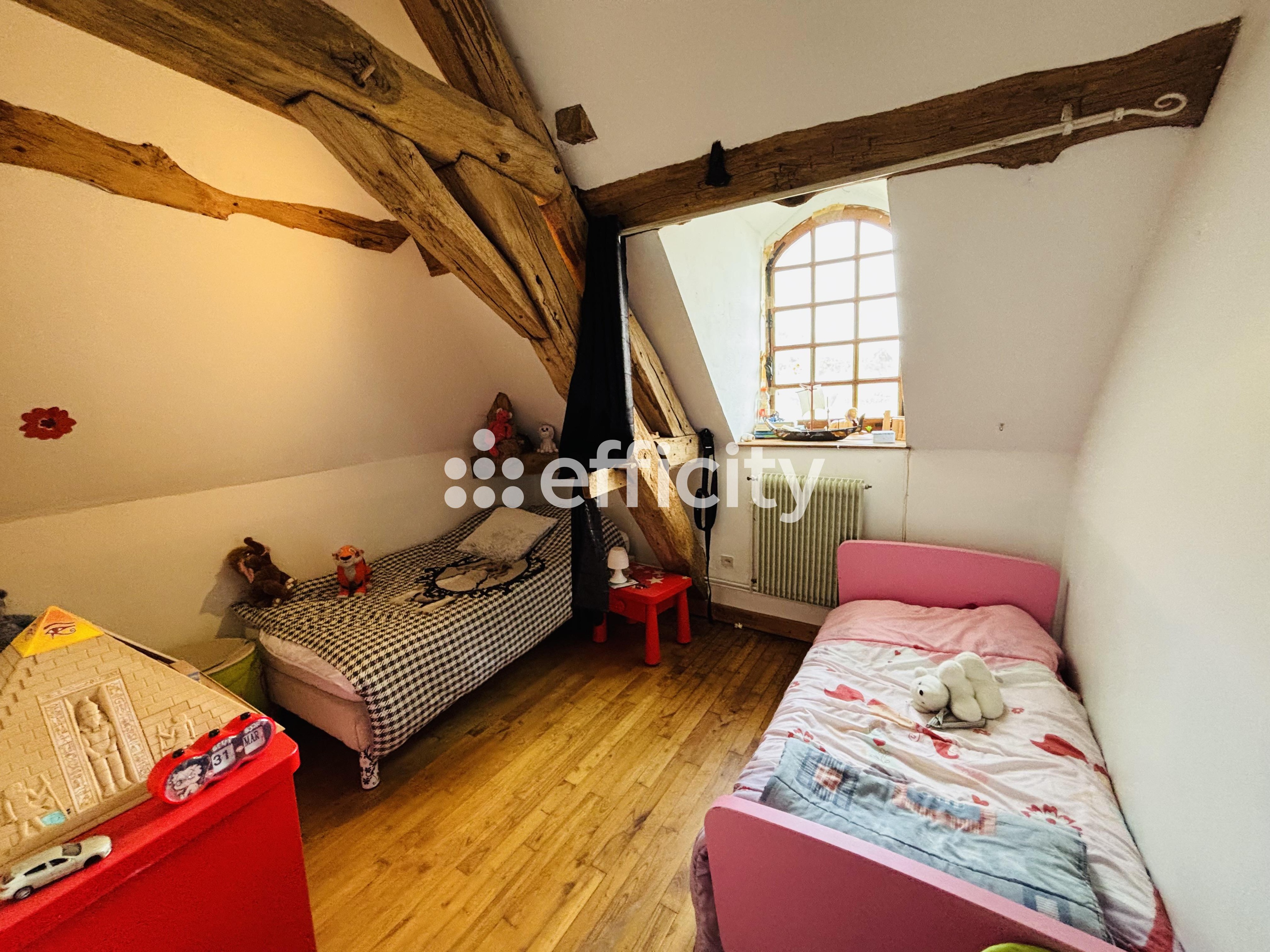 Achat immobilier Maison 6 pièces  420m2 à Ternant (21220) - Photo n°9