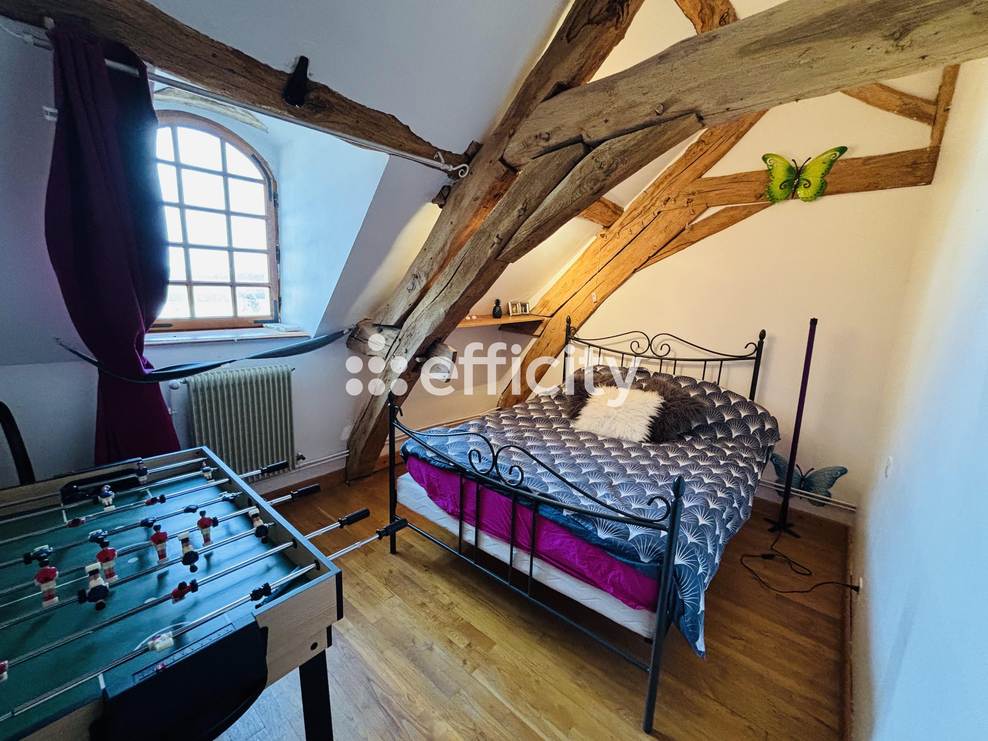 Achat immobilier Maison 6 pièces  420m2 à Ternant (21220) - Photo n°10