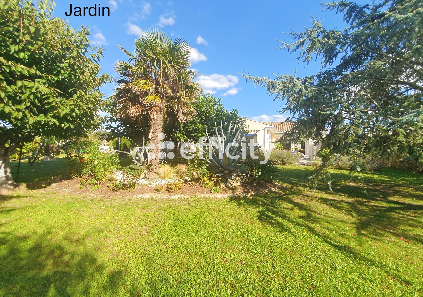 Achat immobilier Maison 7 pièces  203m2 à Fouras (17450) - Photo n°6