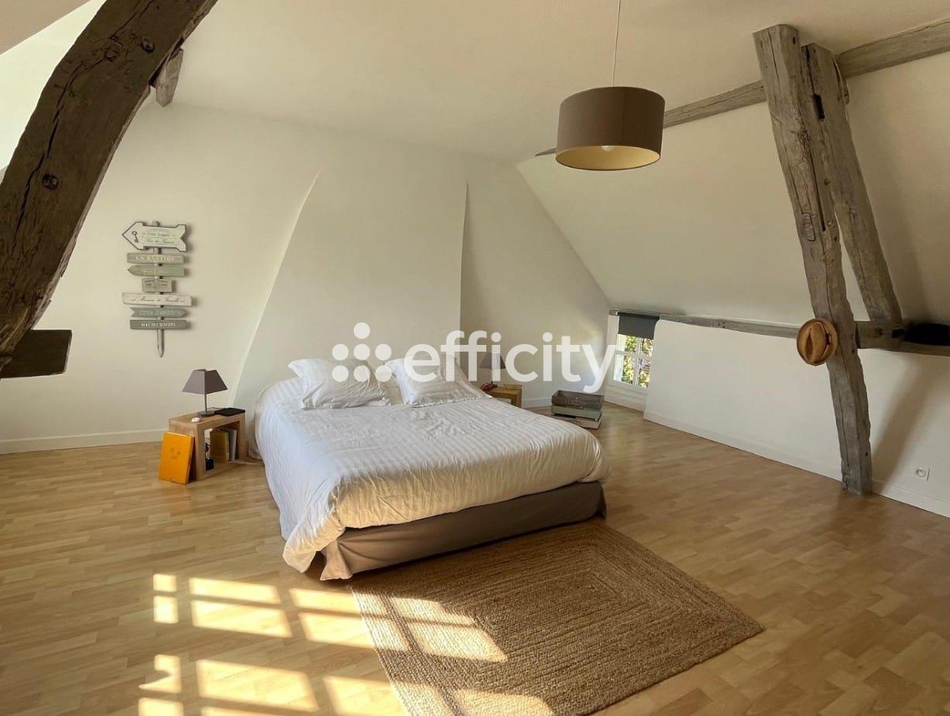 Achat immobilier Maison 6 pièces  206m2 à Le Mêle-sur-Sarthe (61170) - Photo n°6