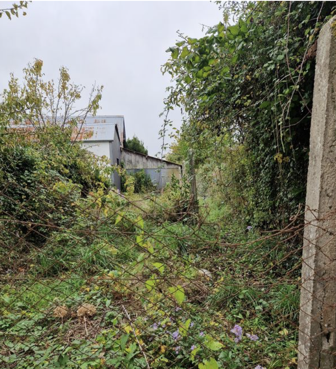 Achat immobilier Maison 5 pièces  80m2 à Landelles-et-Coupigny (14380) - Photo n°18