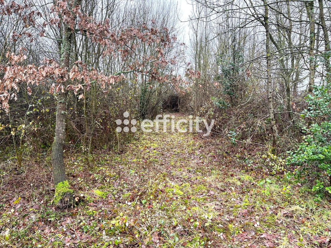 terrain  - 824,0m2 à Saint-Mathurin (85150)