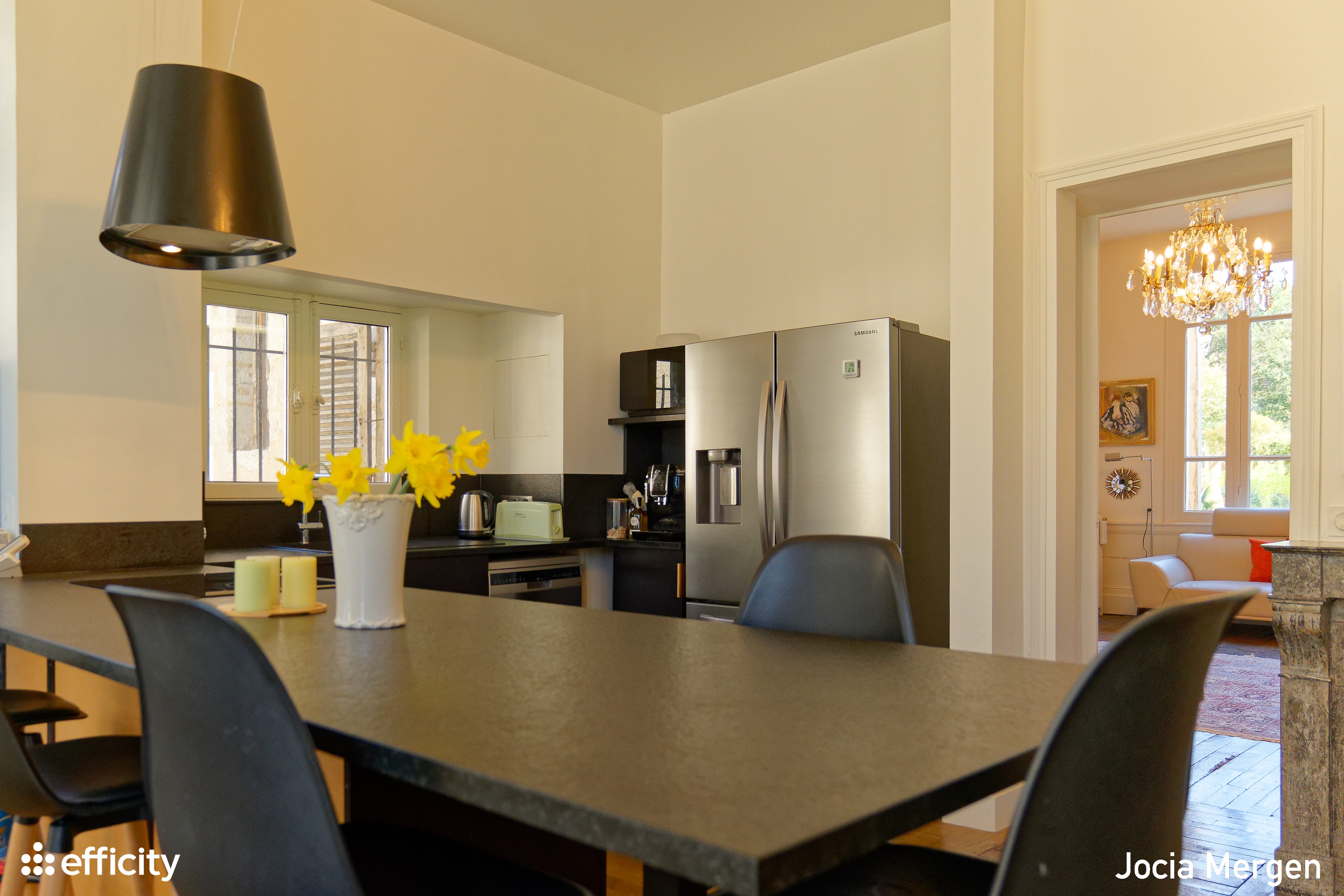 Achat immobilier Maison 18 pièces  508m2 à Troyes (10000) - Photo n°7