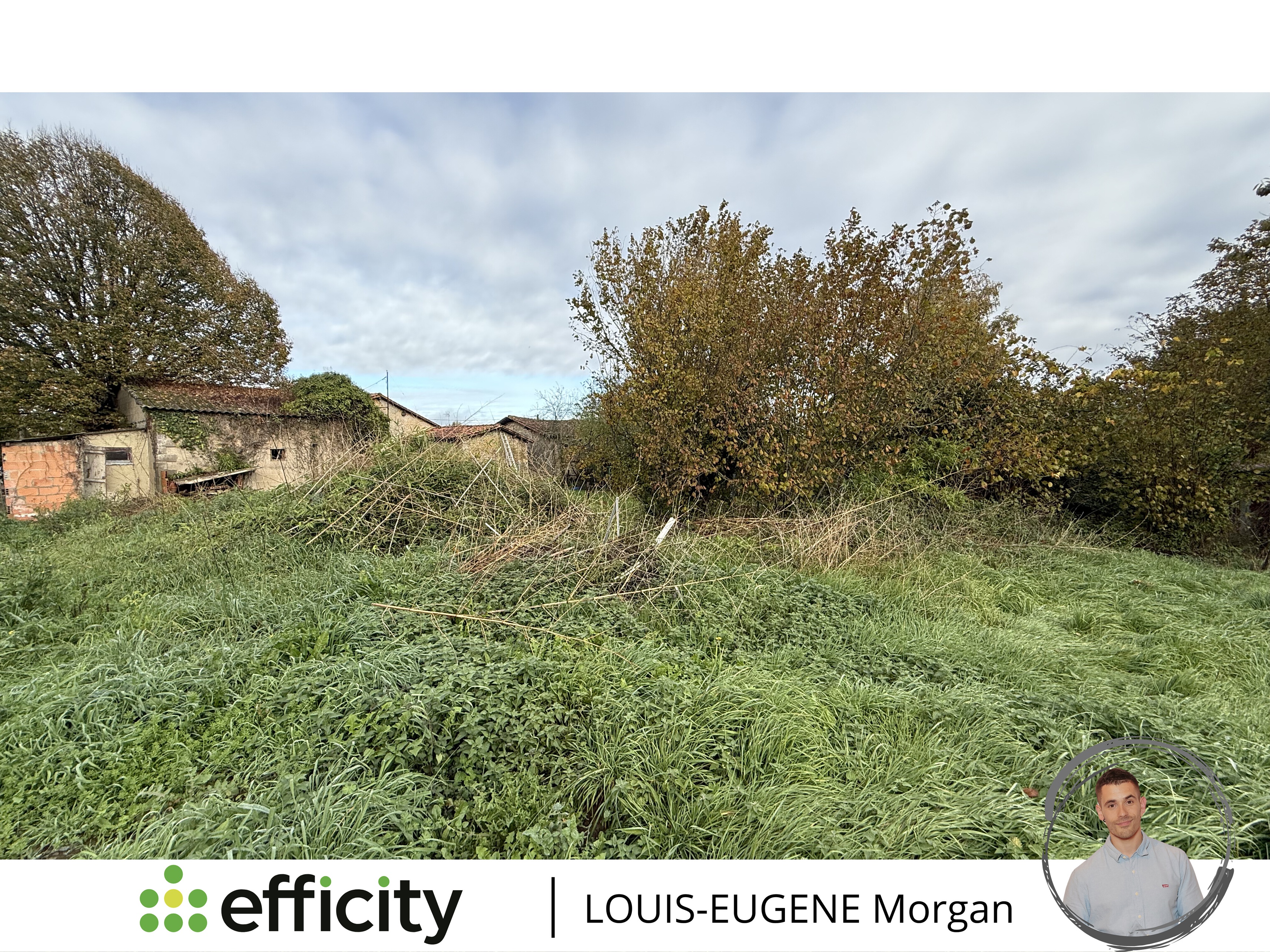 Achat immobilier Maison 1 pièces  40m2 à Champagne-Mouton (16350) - Photo n°6