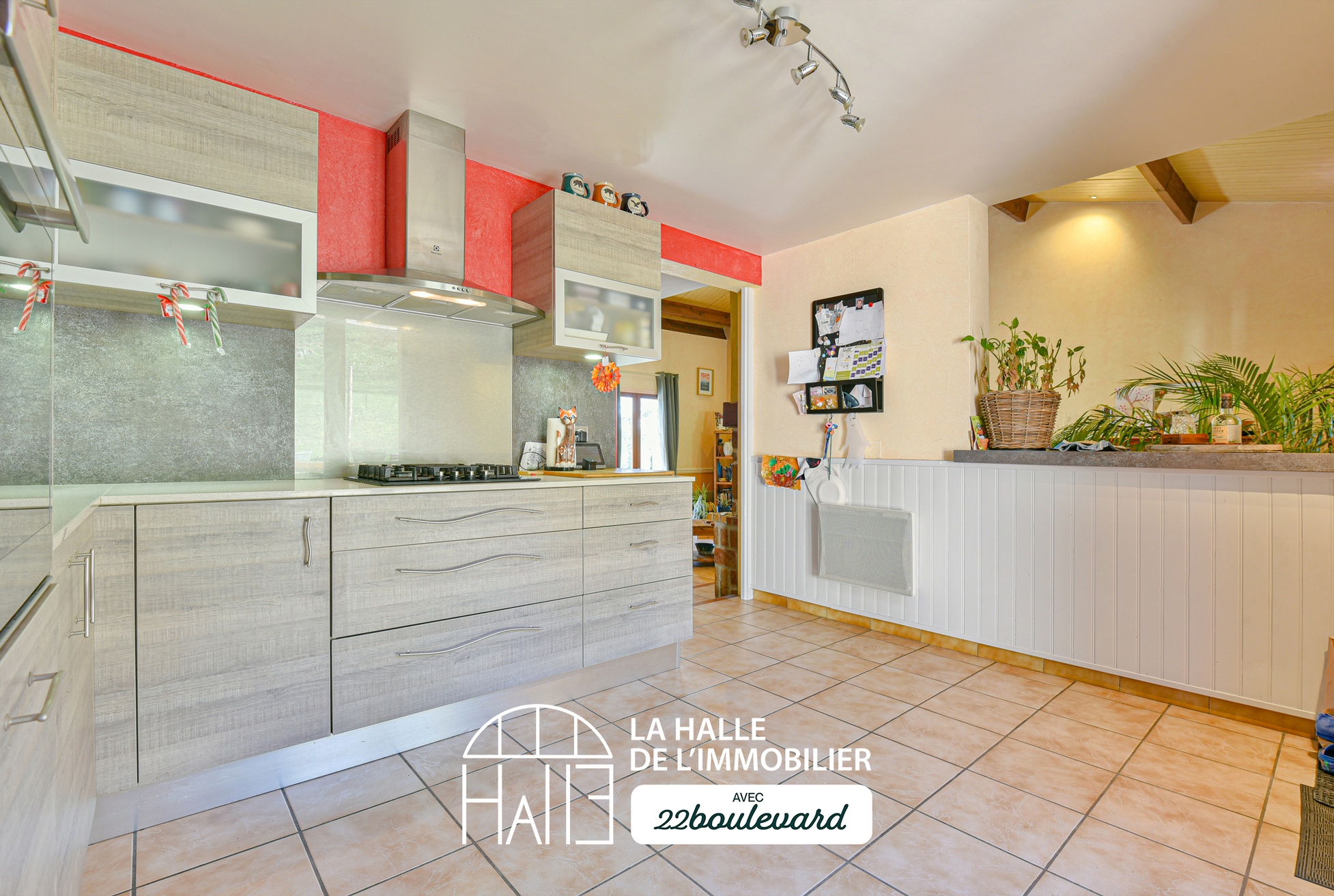 Achat immobilier Maison 6 pièces  114m2 à Saint-Jouvent (87510) - Photo n°12
