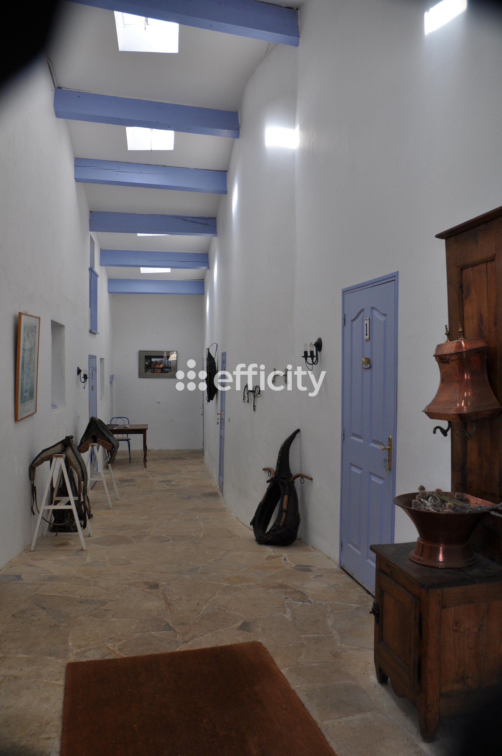 Achat immobilier Maison 13 pièces  400m2 à Revest-du-Bion (04150) - Photo n°8