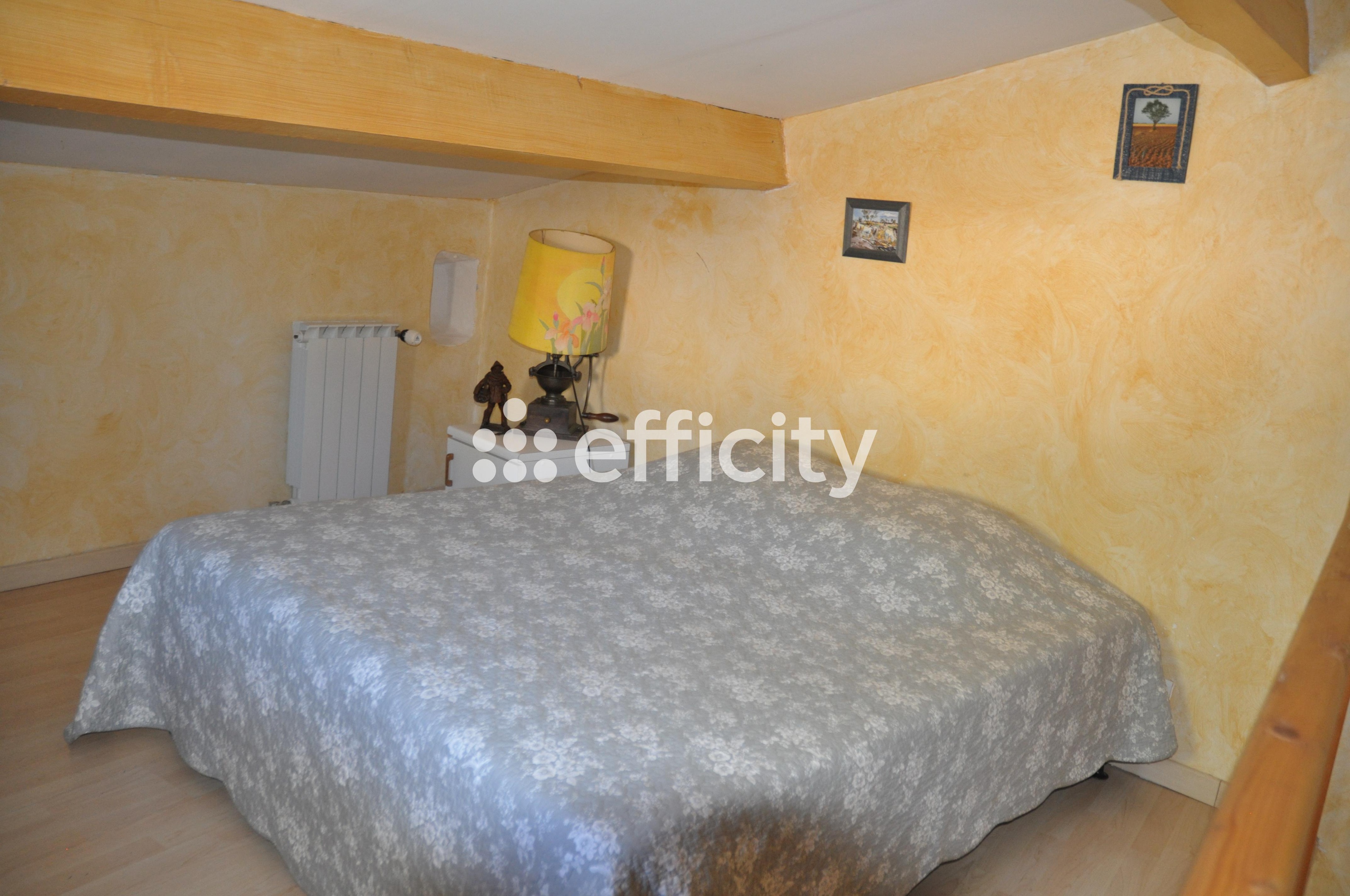 Achat immobilier Maison 13 pièces  400m2 à Revest-du-Bion (04150) - Photo n°7
