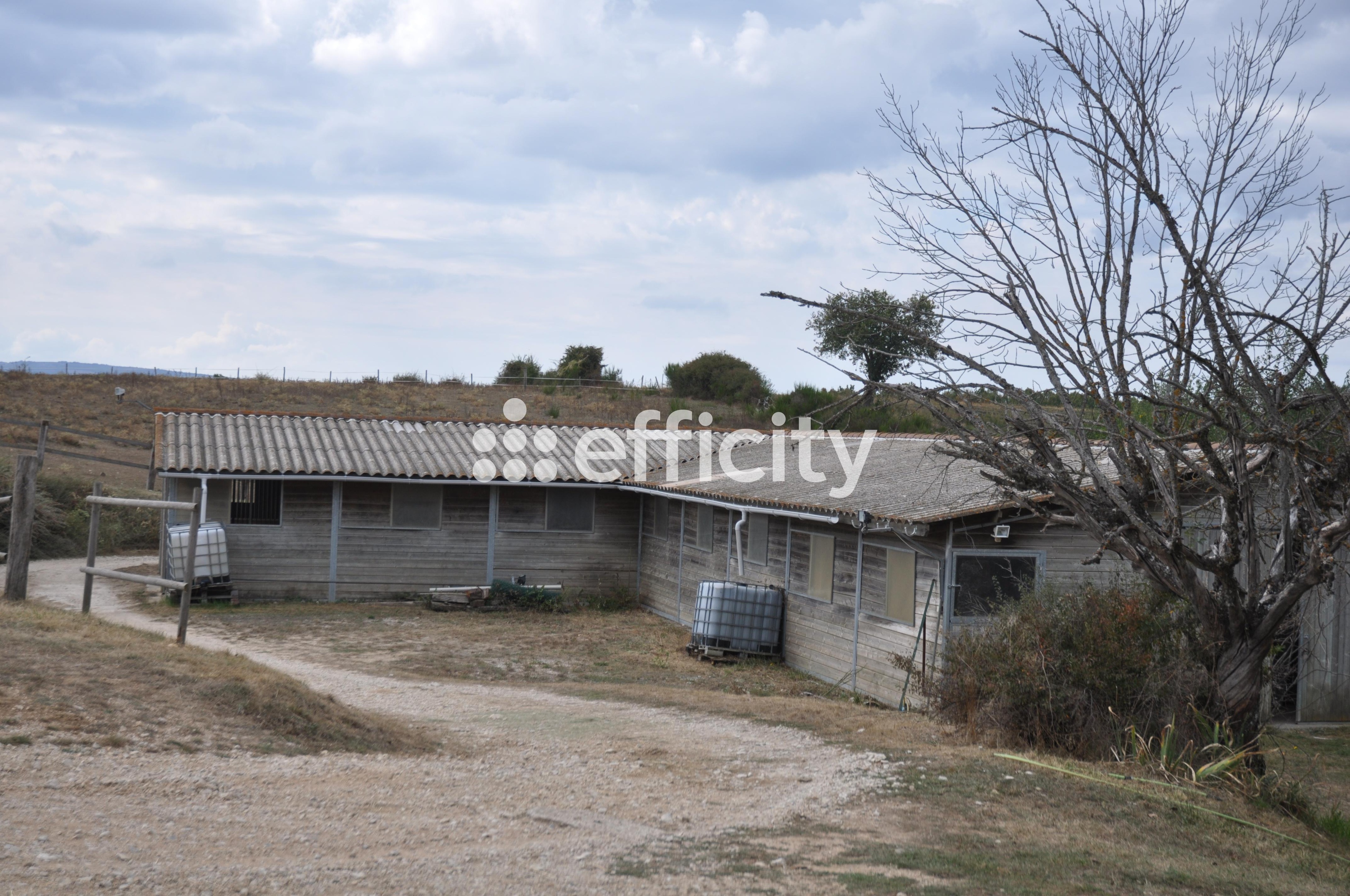 Achat immobilier Maison 13 pièces  400m2 à Revest-du-Bion (04150) - Photo n°14