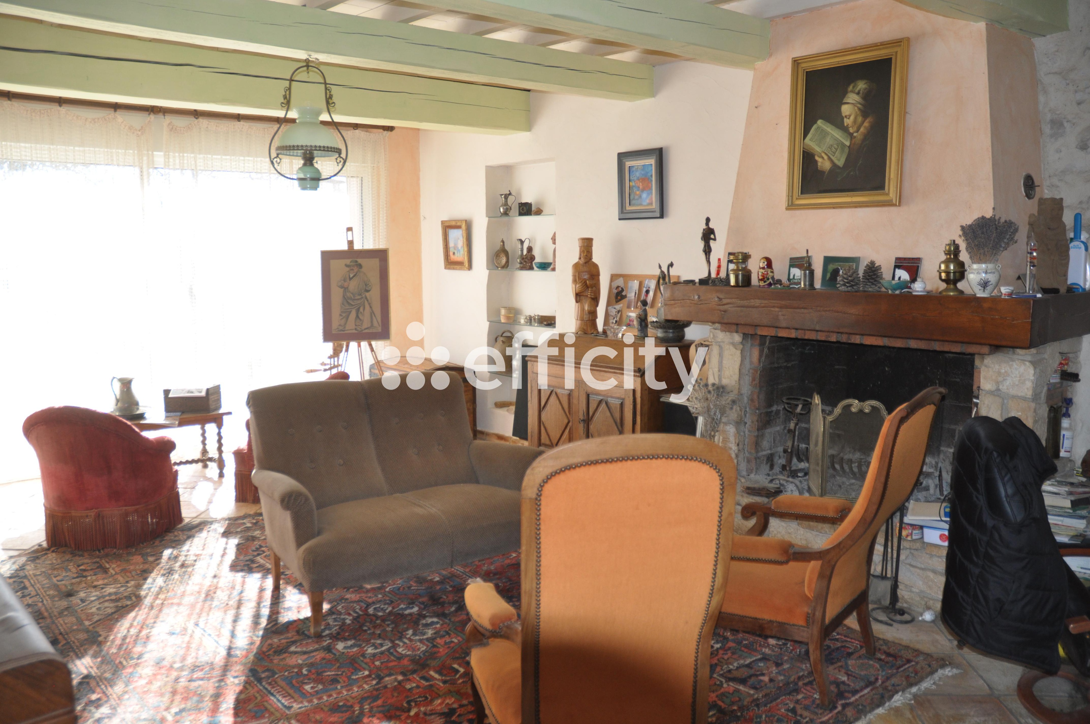 Achat immobilier Maison 13 pièces  400m2 à Revest-du-Bion (04150) - Photo n°4