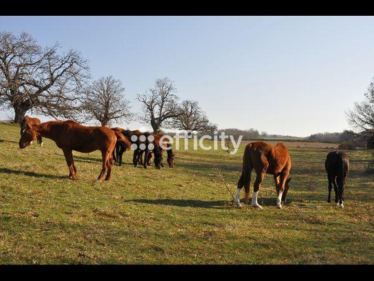 Achat immobilier Maison 13 pièces  400m2 à Revest-du-Bion (04150) - Photo n°16