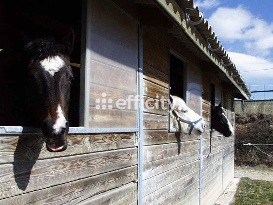 Achat immobilier Maison 13 pièces  400m2 à Revest-du-Bion (04150) - Photo n°15