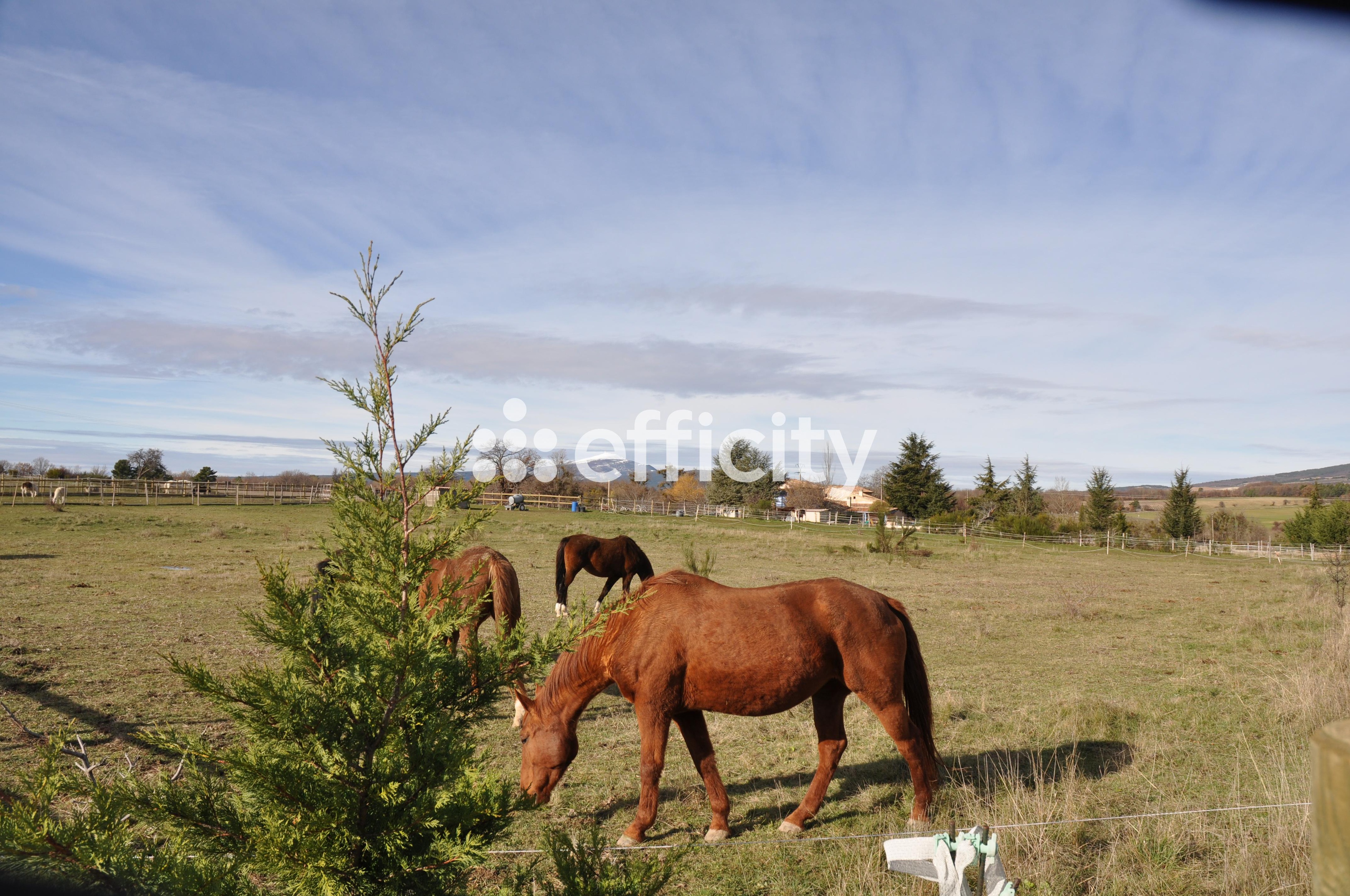 Achat immobilier Maison 13 pièces  400m2 à Revest-du-Bion (04150) - Photo n°13