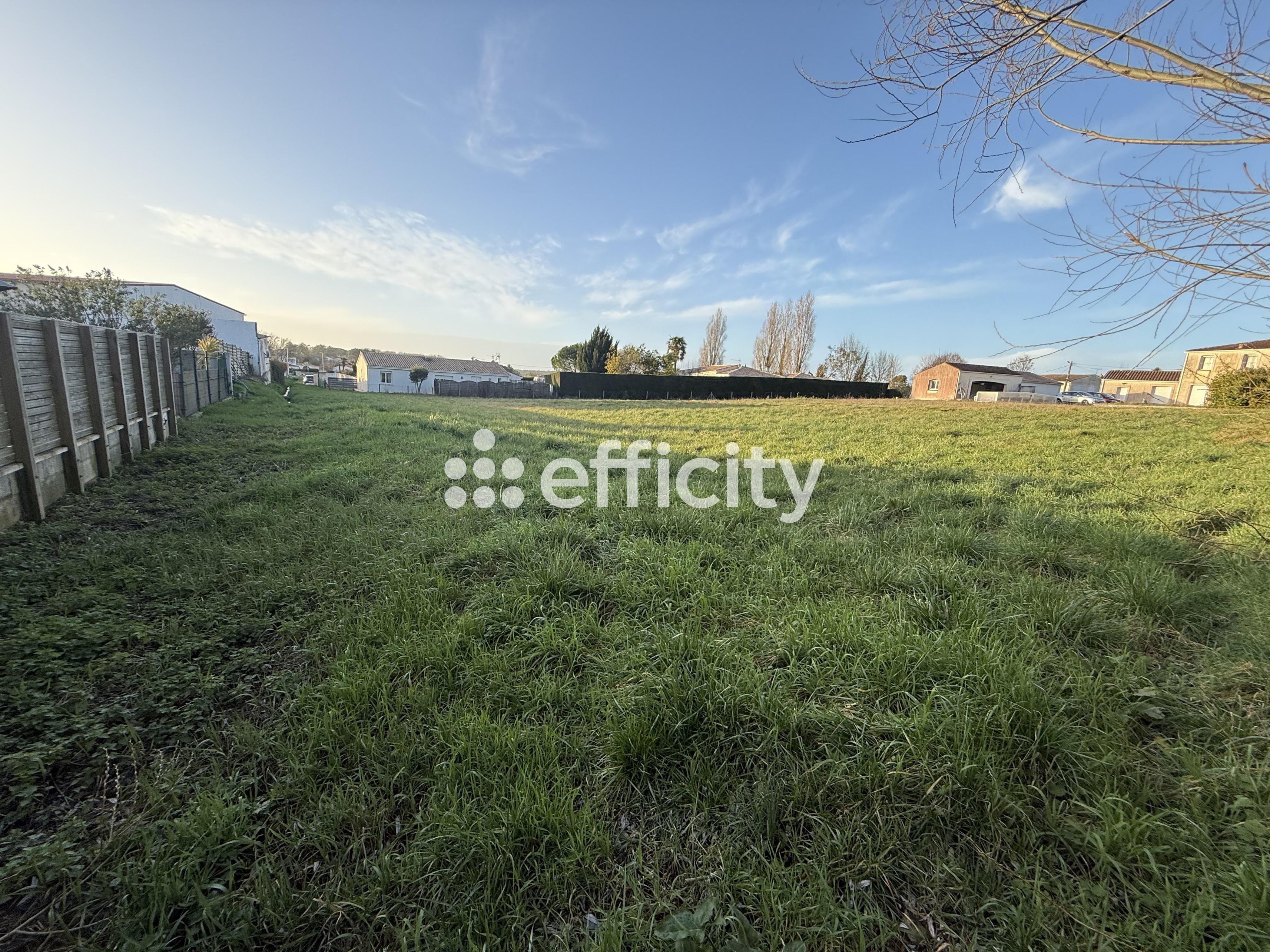 Achat immobilier Terrain   942m2 à Saint-Sulpice-de-Royan (17200) - Photo n°4