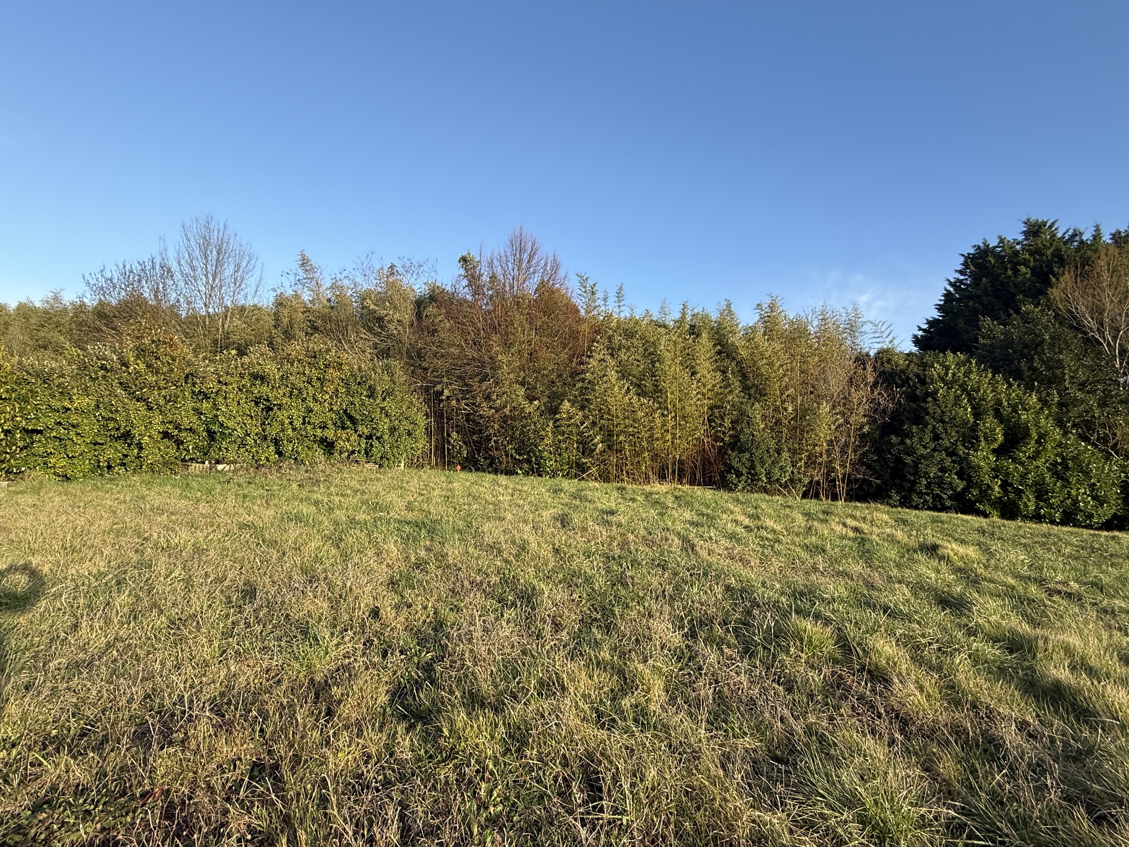 terrain  - 717m2 à Saint-Sulpice-de-Royan (17200)