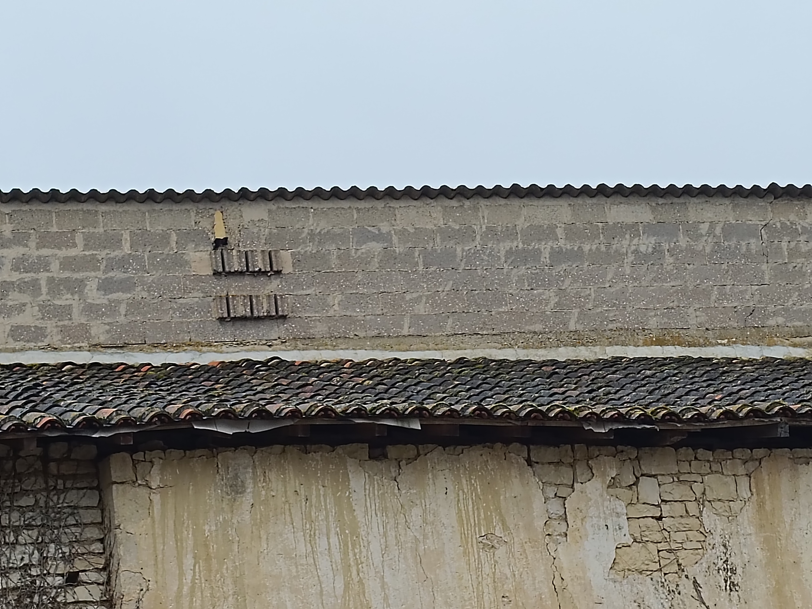 Achat immobilier Parking   345m2 à Saint-Amant-de-Boixe (16330) - Photo n°4