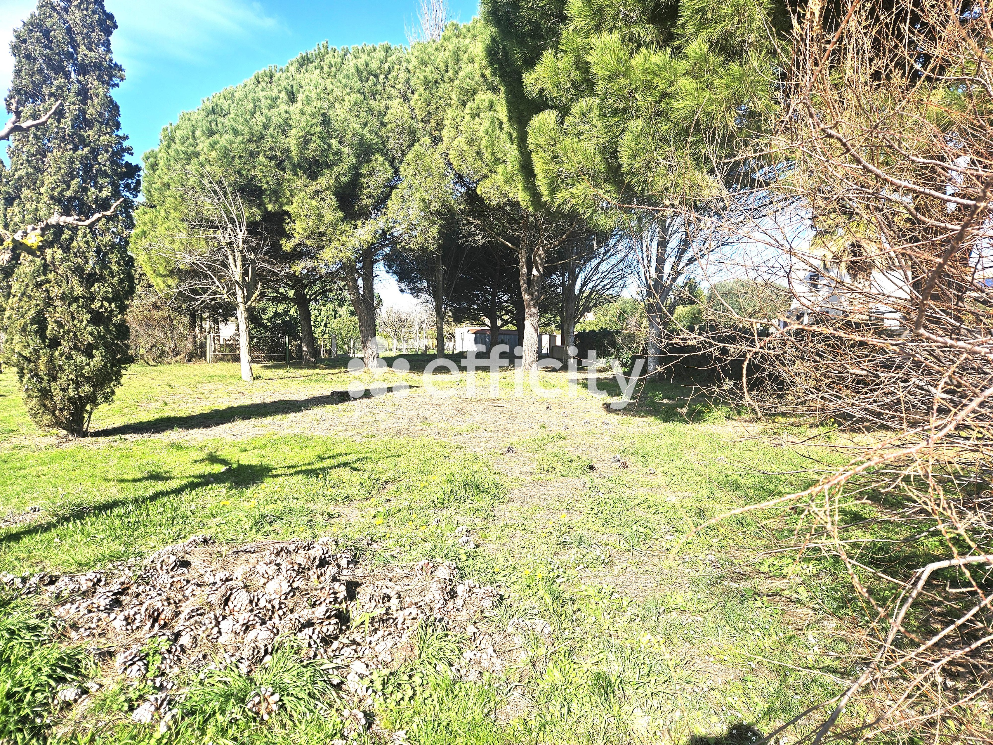 Achat immobilier Maison 6 pièces  128m2 à Agde (34300) - Photo n°4