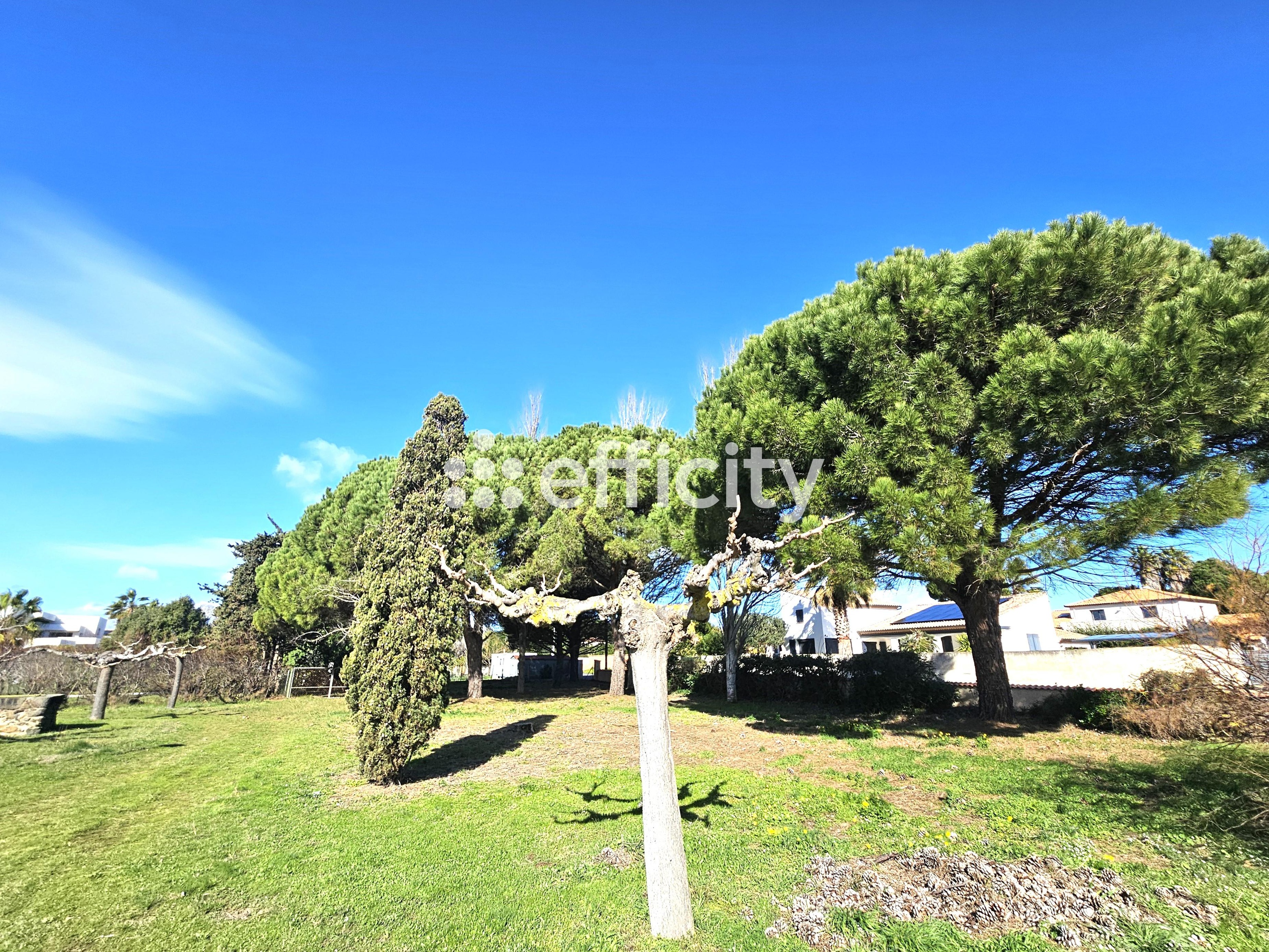 Achat immobilier Maison 6 pièces  128m2 à Agde (34300) - Photo n°5