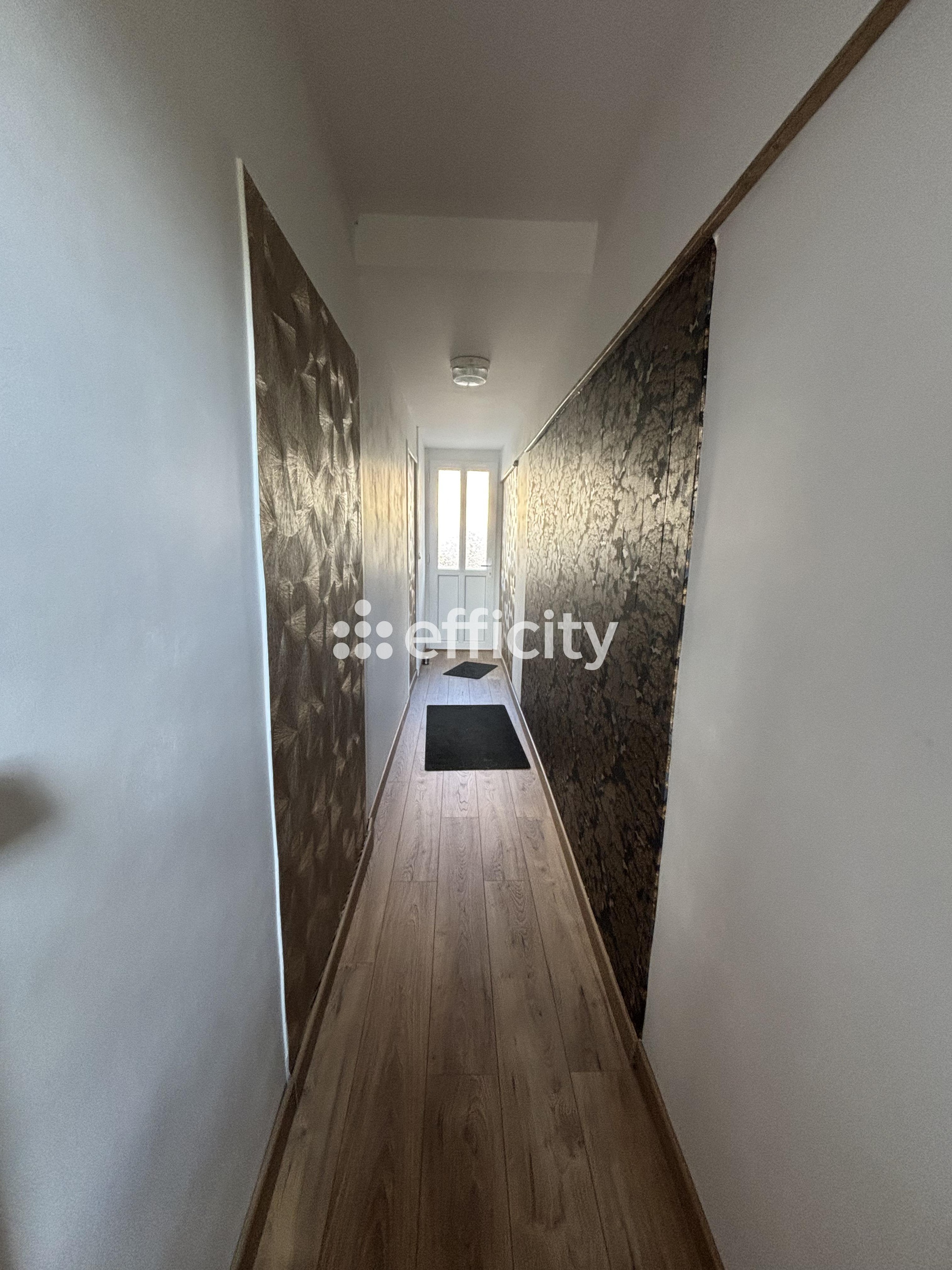 Achat immobilier Maison 3 pièces  92m2 à Nançay (18330) - Photo n°4