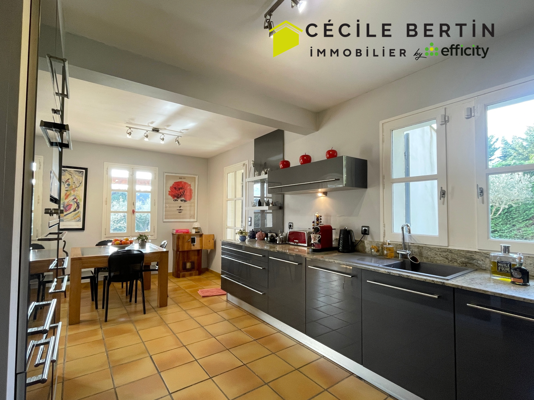 Achat immobilier Maison 7 pièces  198m2 à Arles (13200) - Photo n°8