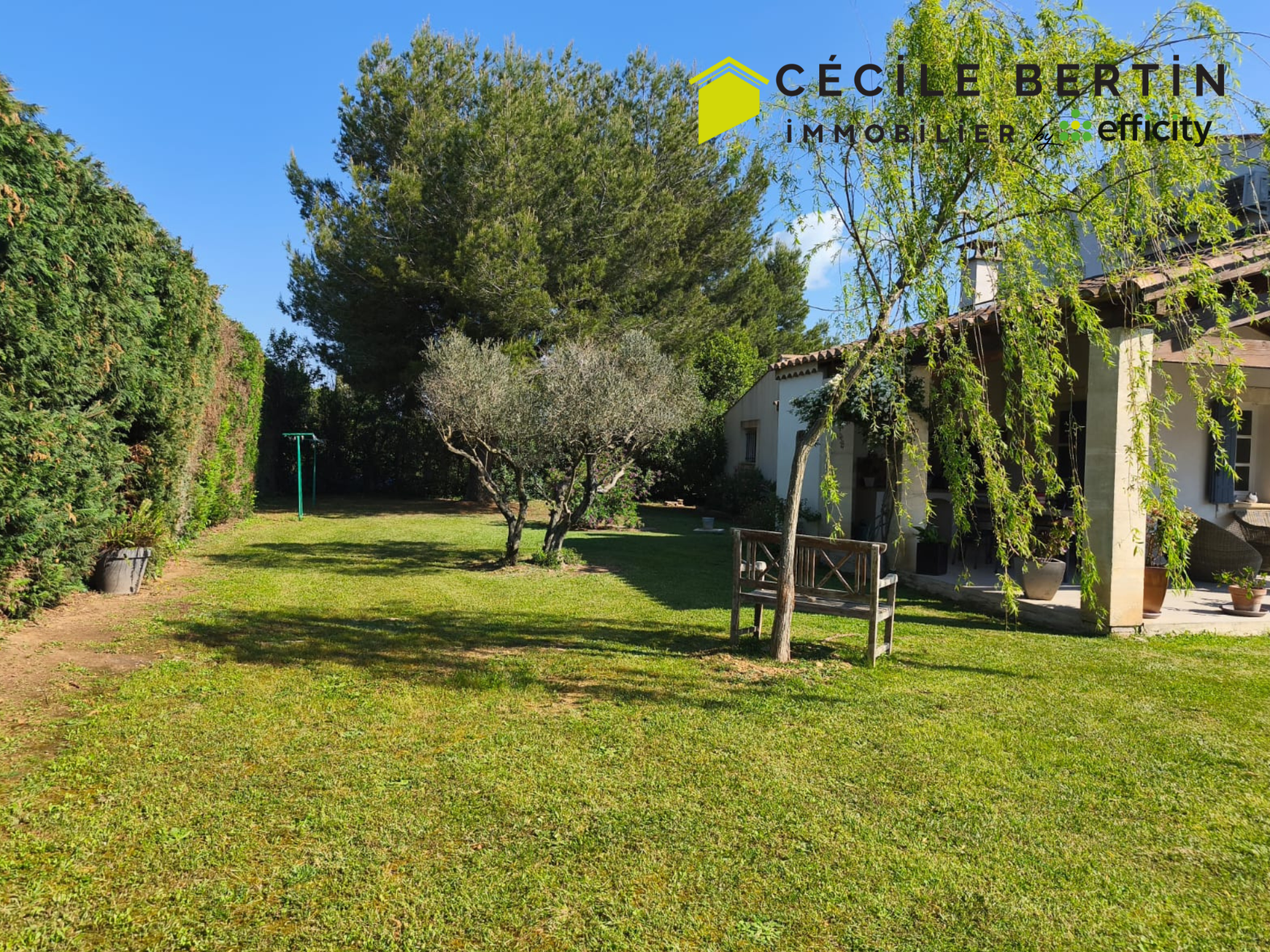 Achat immobilier Maison 7 pièces  198m2 à Arles (13200) - Photo n°6
