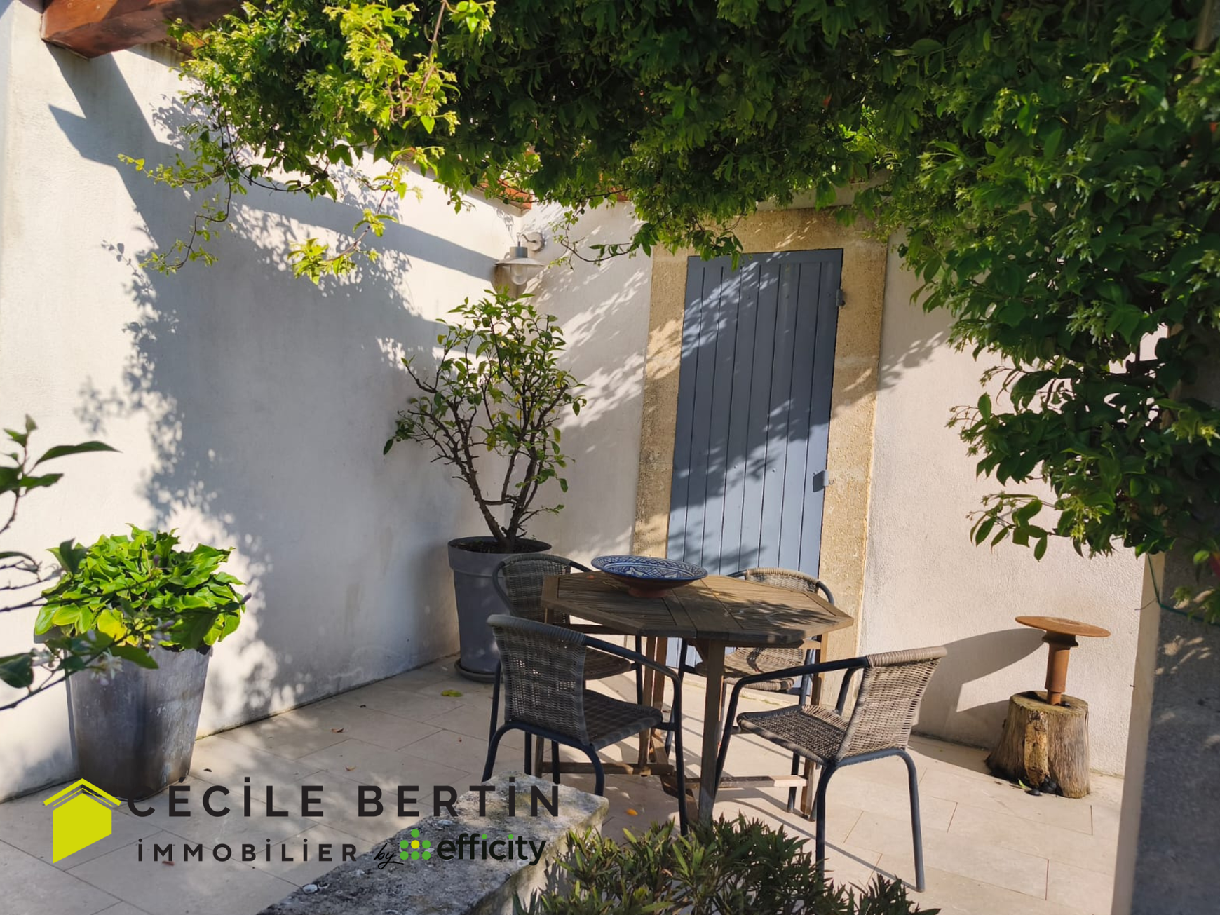 Achat immobilier Maison 7 pièces  198m2 à Arles (13200) - Photo n°7