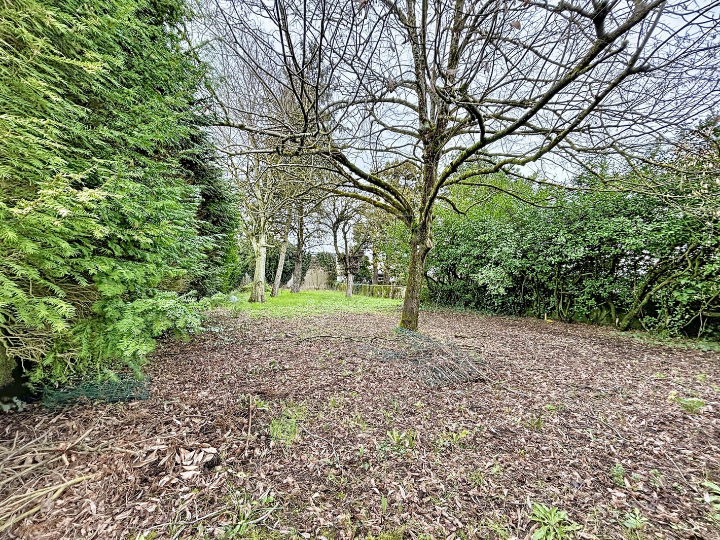 Achat immobilier Terrain   269m2 à Bléré (37150) - Photo n°1