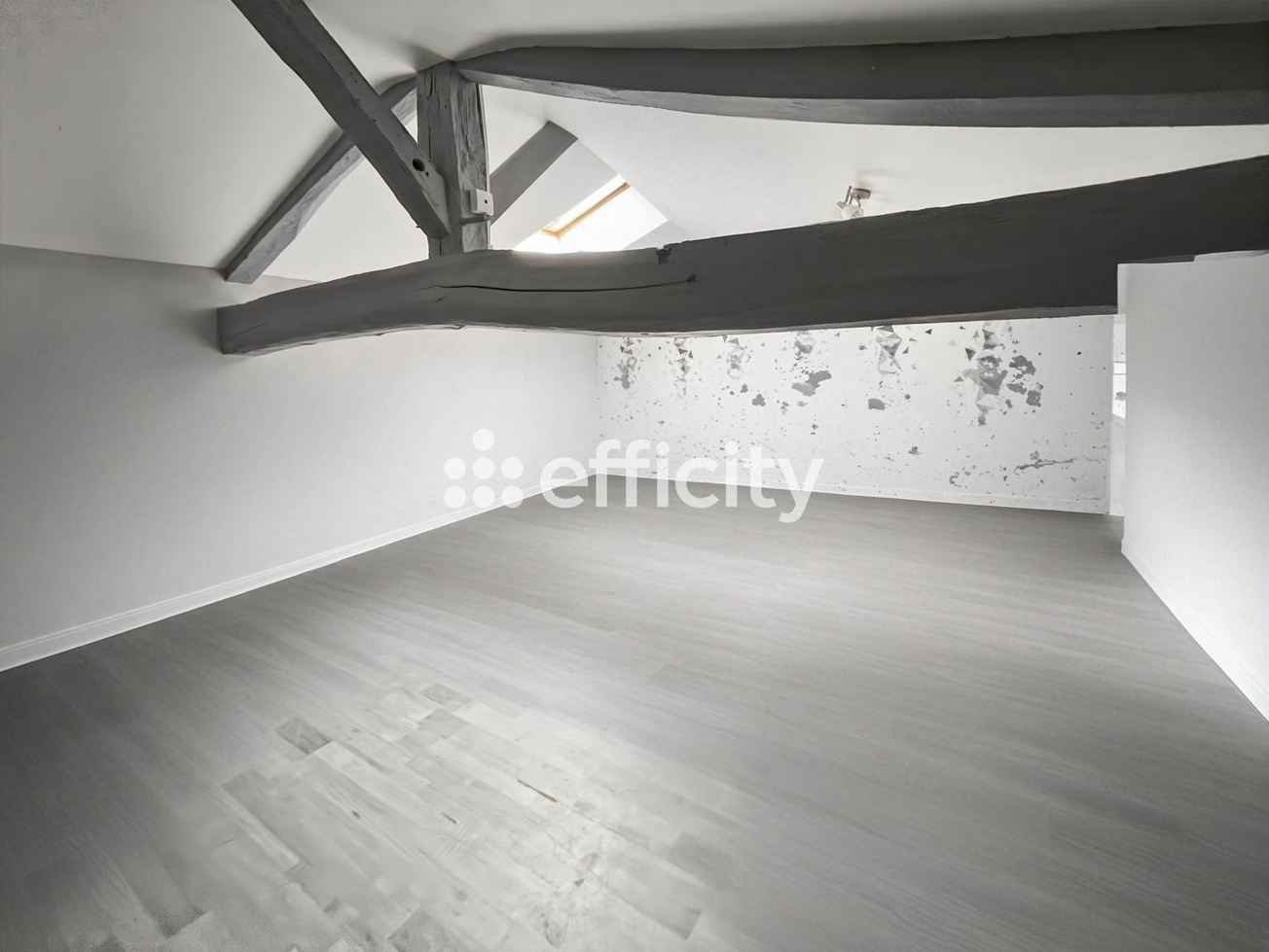 Achat immobilier Maison 5 pièces  150m2 à Val-de-Cognac (16370) - Photo n°10