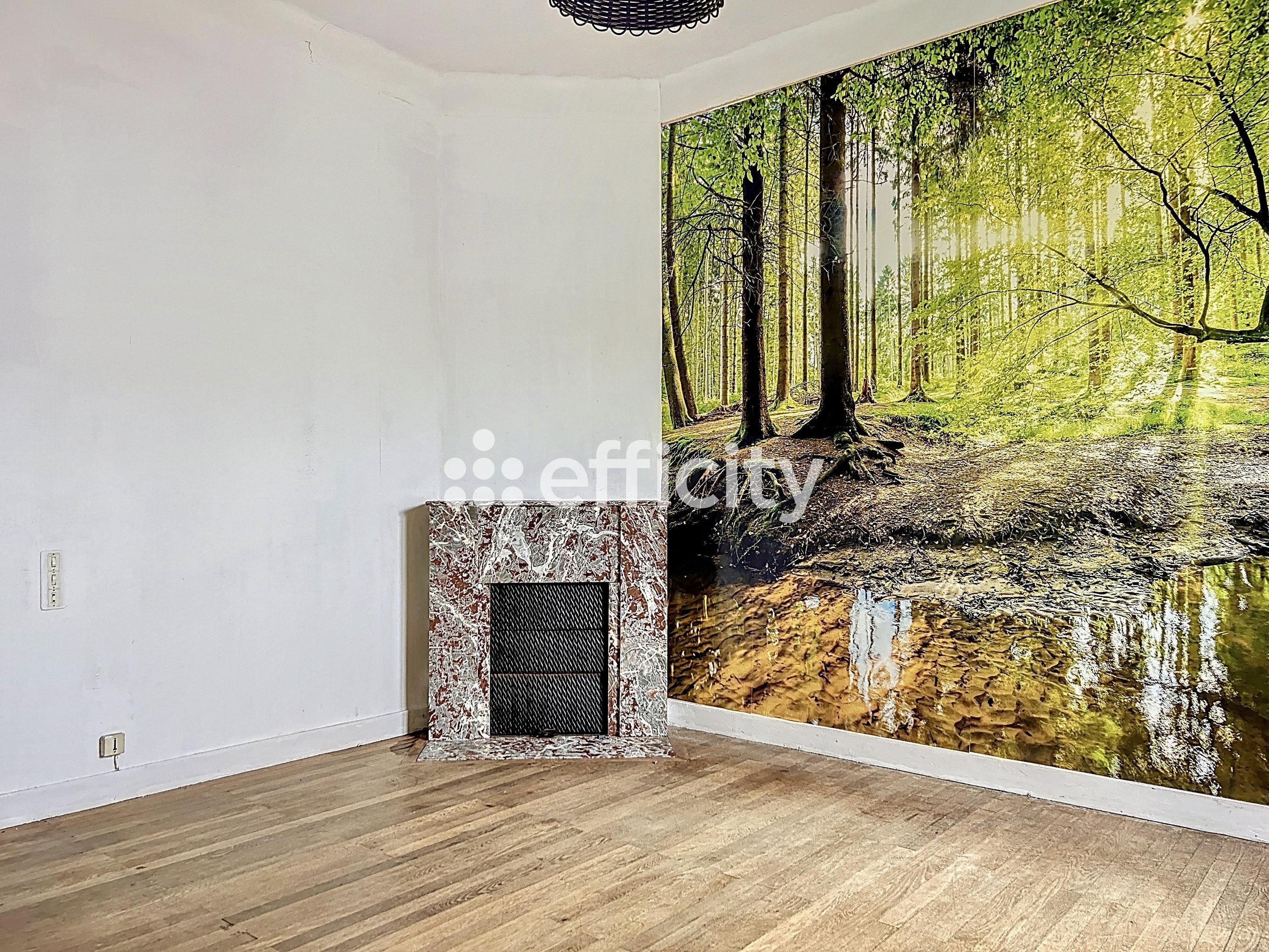 Achat immobilier Maison 5 pièces  146m2 à Bléré (37150) - Photo n°9