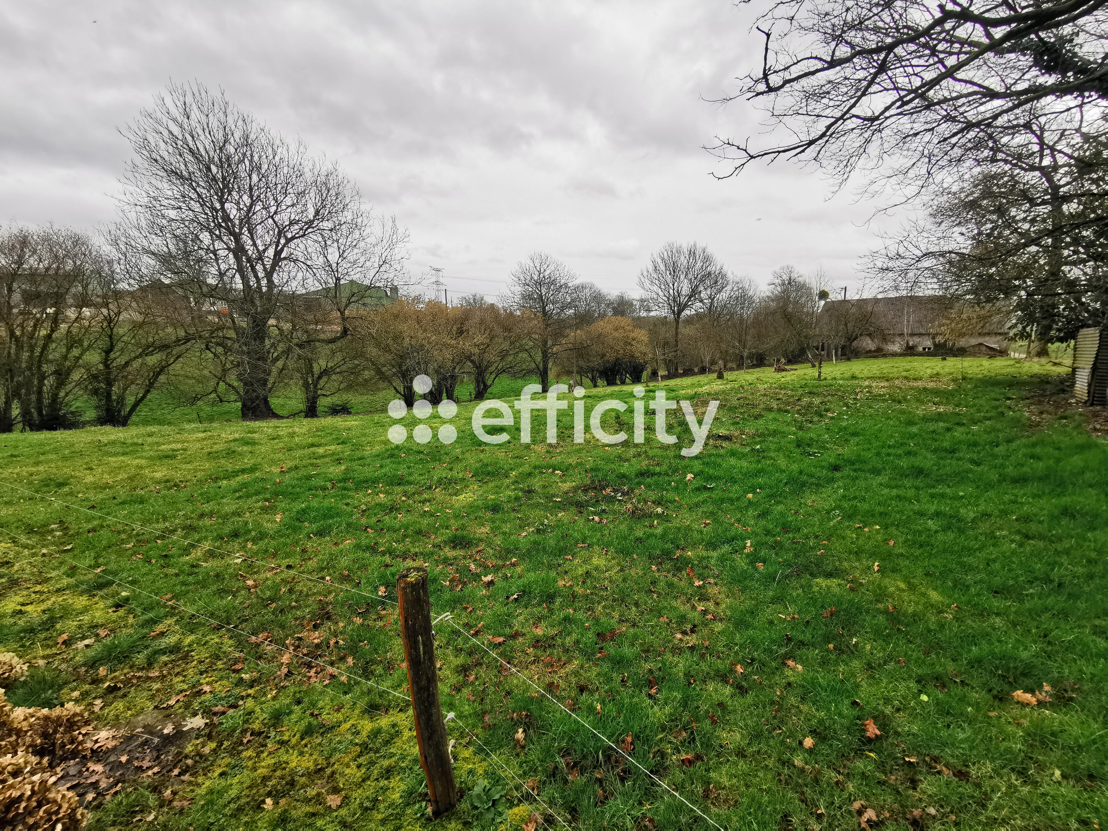 Achat immobilier Maison 5 pièces  129m2 à Montbray (50410) - Photo n°22