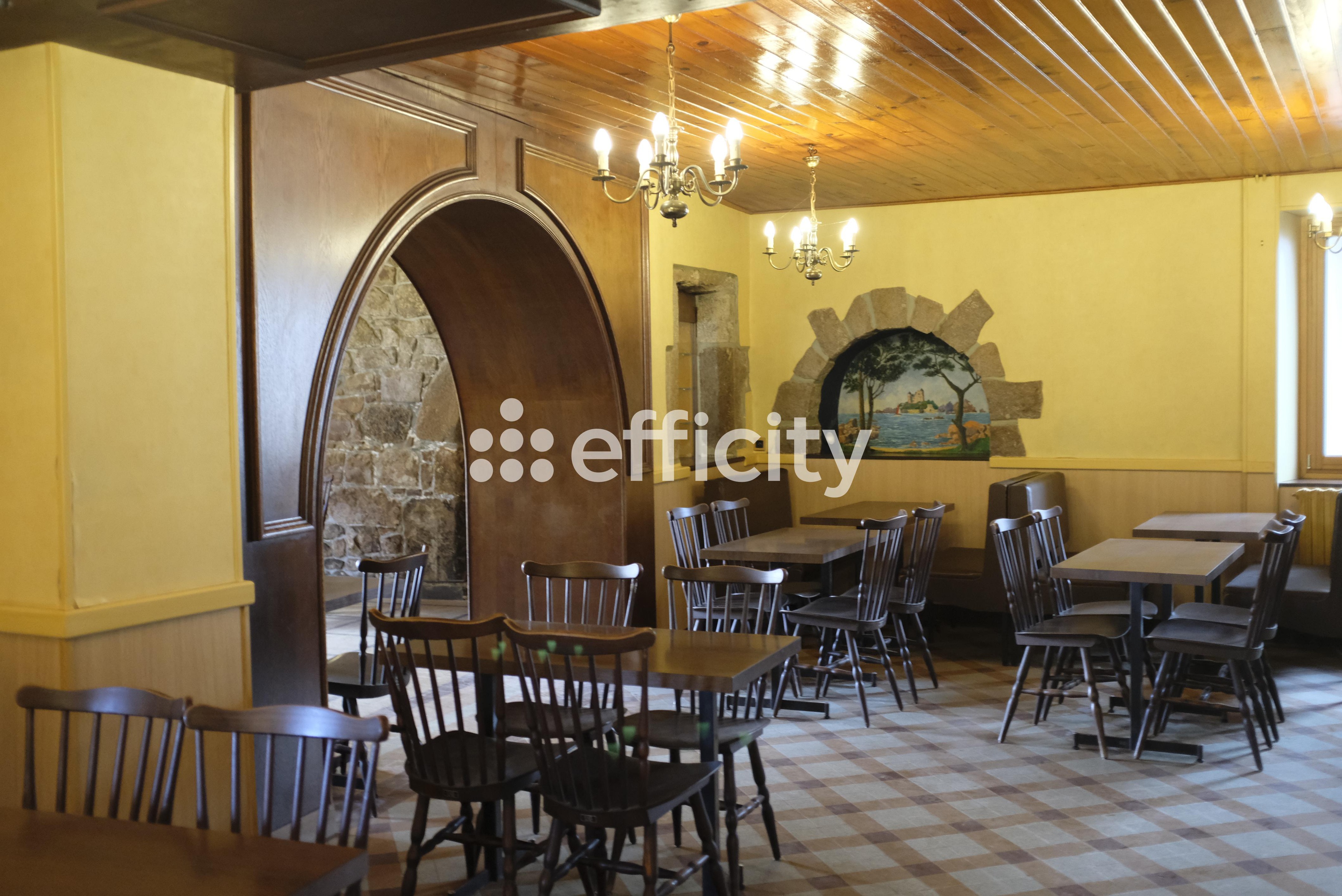 Achat immobilier Maison 10 pièces  316m2 à Trégastel (22730) - Photo n°1