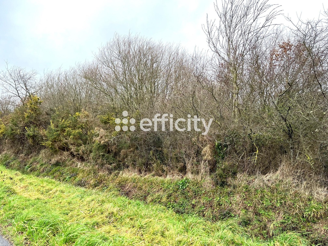 terrain  - 671,0m2 à Saint-Mathurin (85150)