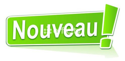 Achat immobilier Terrain   400m2 à Pont-Saint-Martin (44860) - Photo n°1