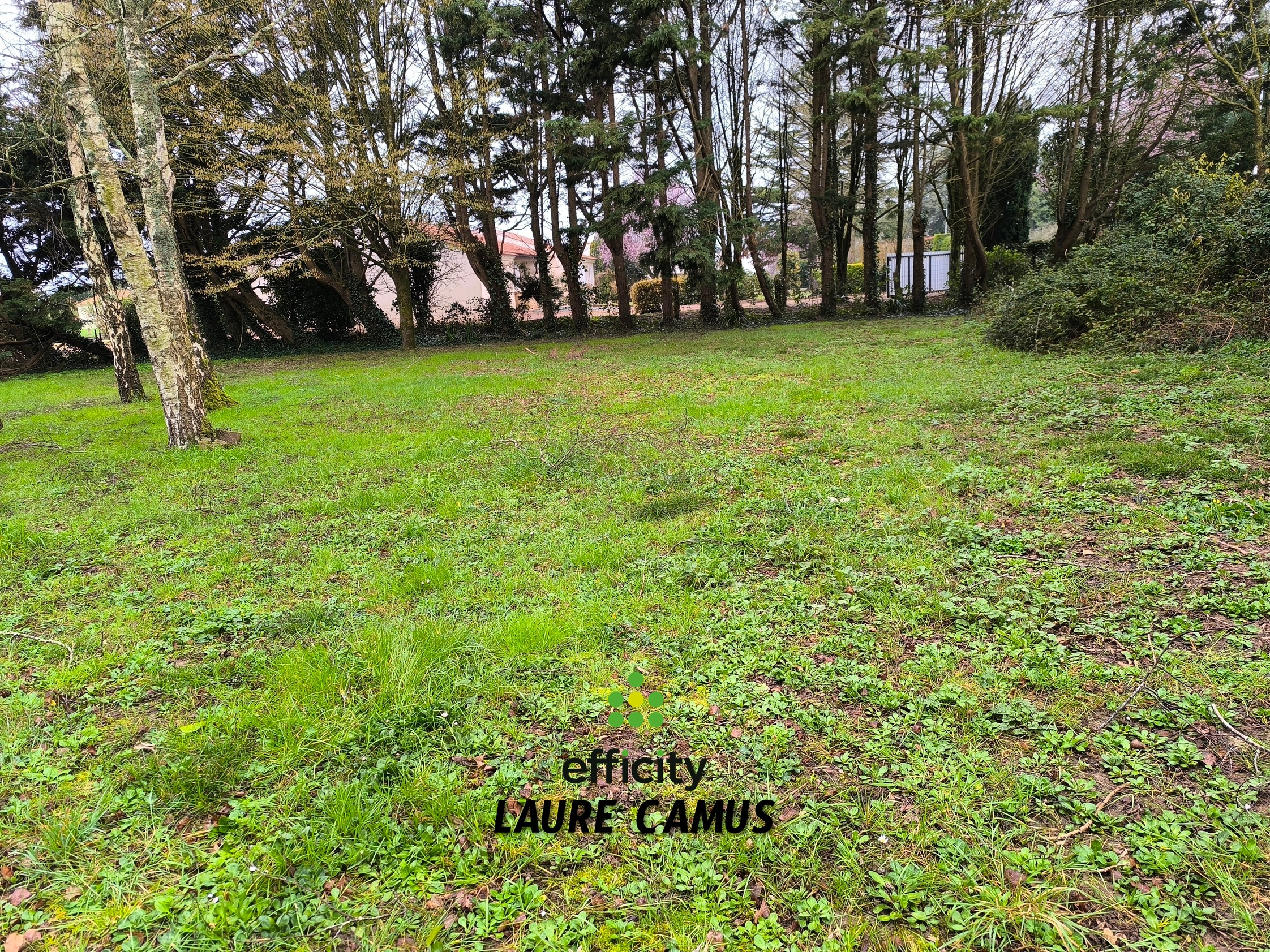 terrain  - 300m2 à Saint-Hilaire-la-Forêt (85440)