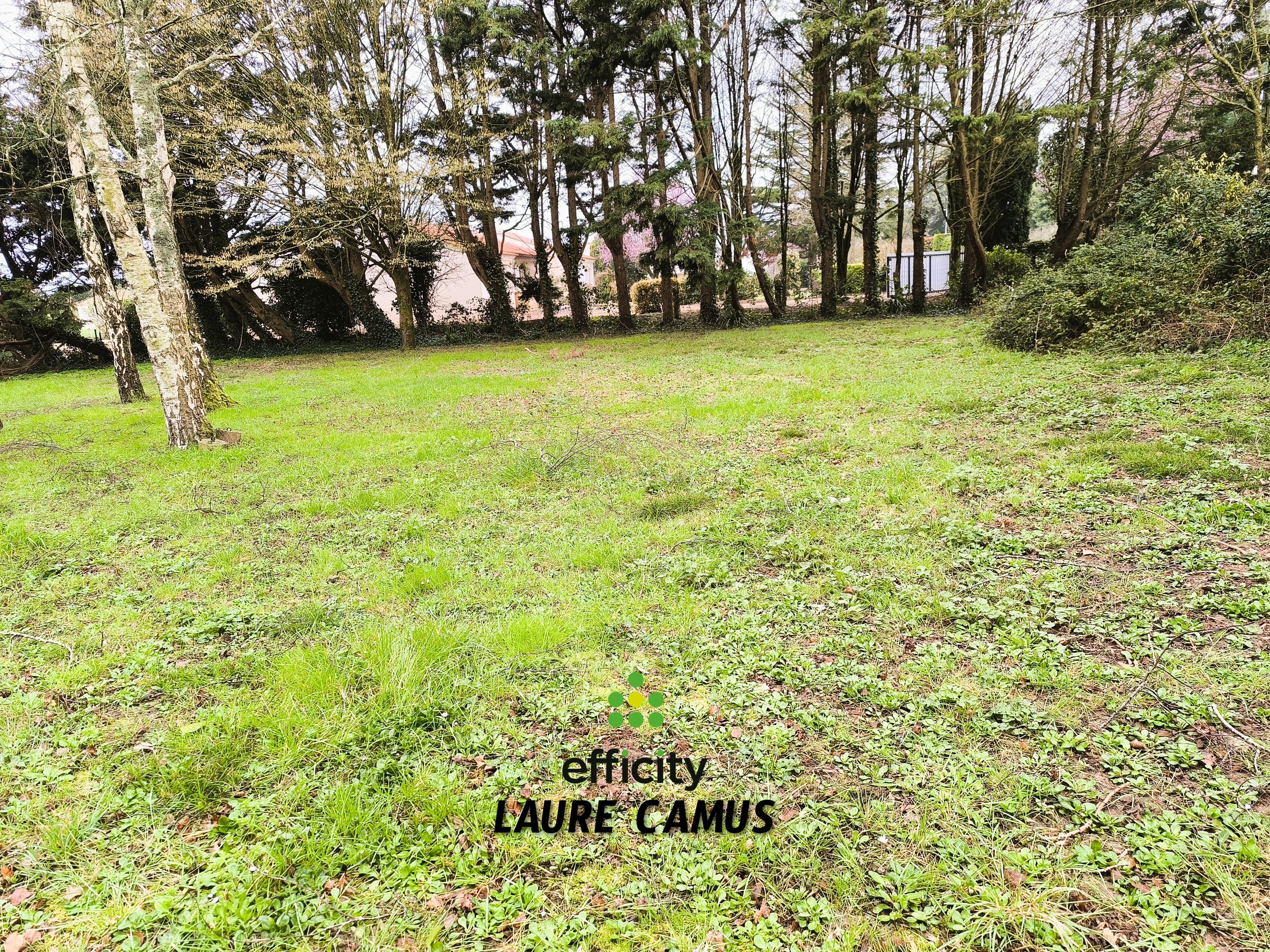 terrain  - 350m2 à Saint-Hilaire-la-Forêt (85440)