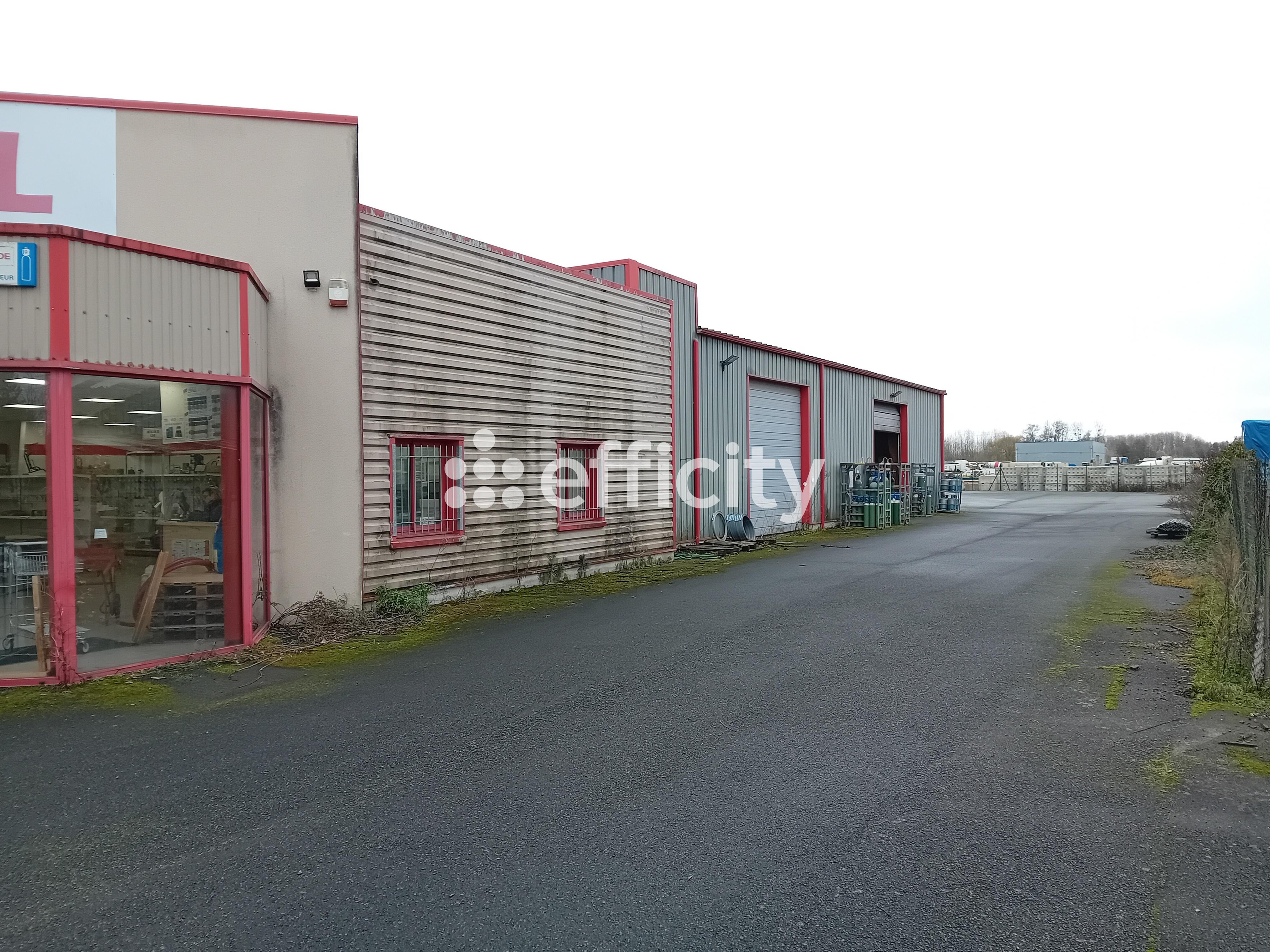 Achat immobilier Local commercial   600m2 à Bourgueil (37140) - Photo n°4