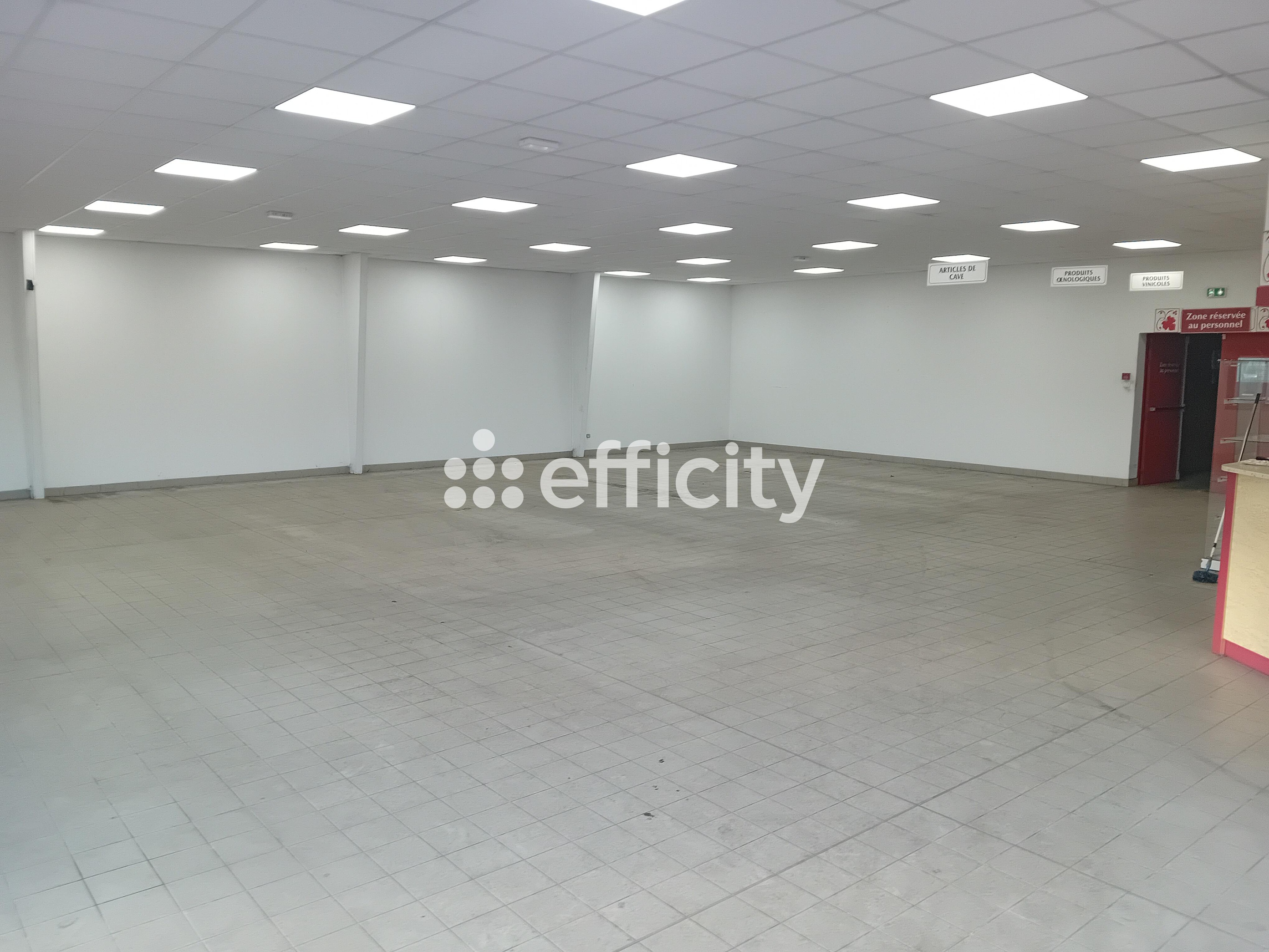 Achat immobilier Local commercial   600m2 à Bourgueil (37140) - Photo n°6