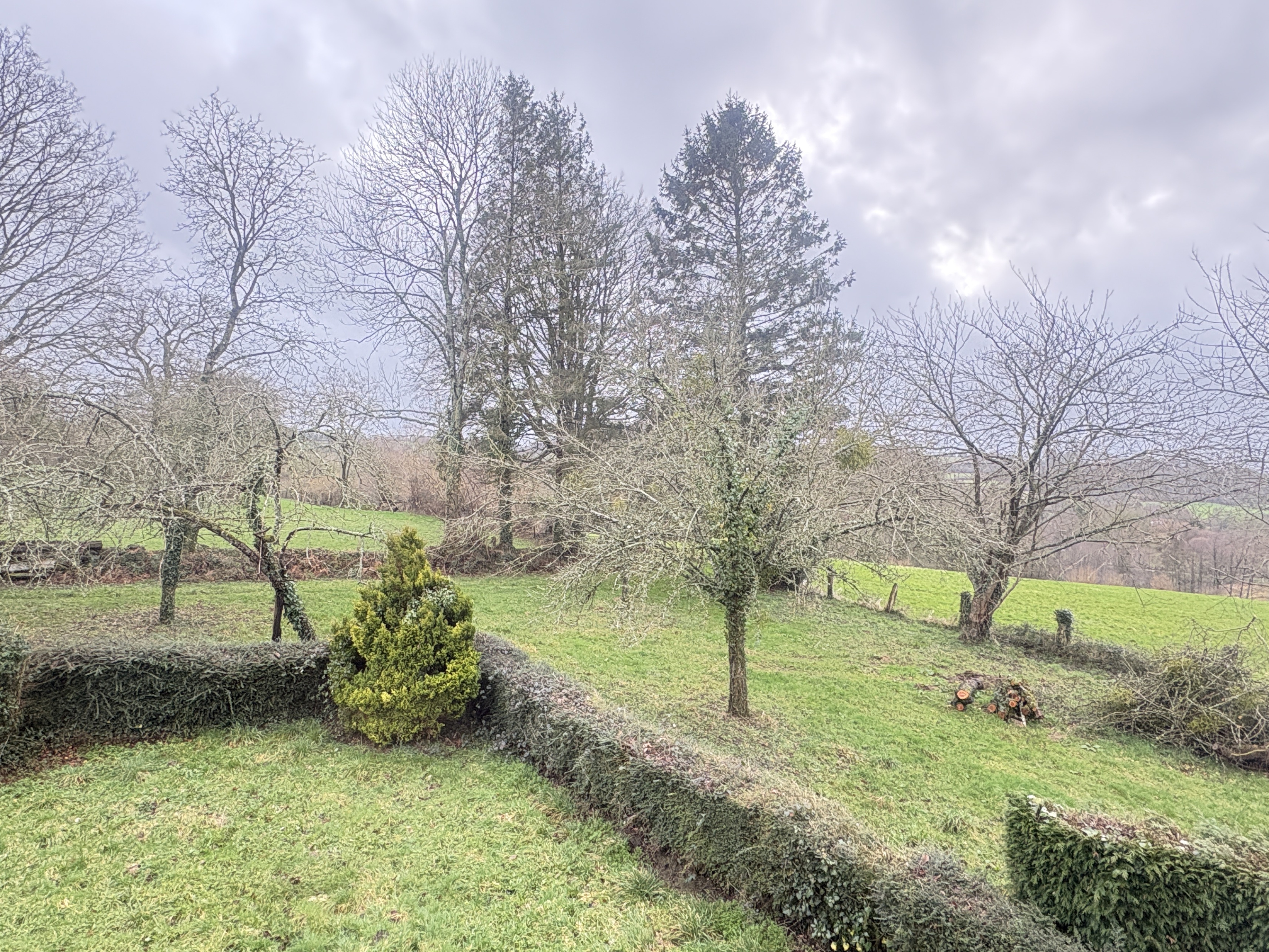 Achat immobilier Maison 5 pièces  106m2 à Vire Normandie (14500) - Photo n°5