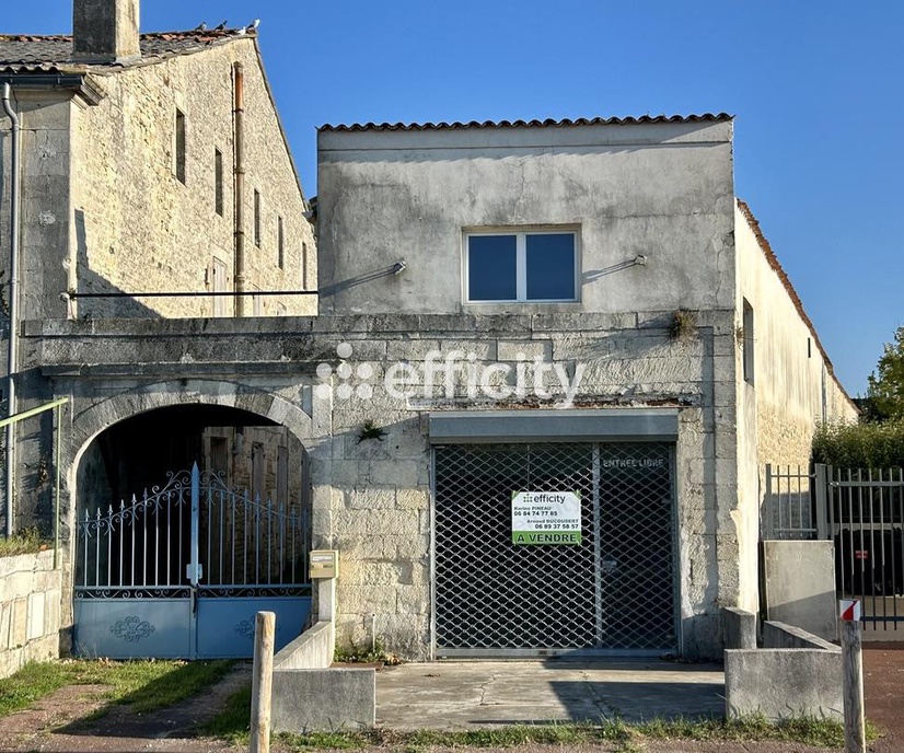 Achat immobilier Maison 10 pièces  516m2 à La Tremblade (17390) - Photo n°1