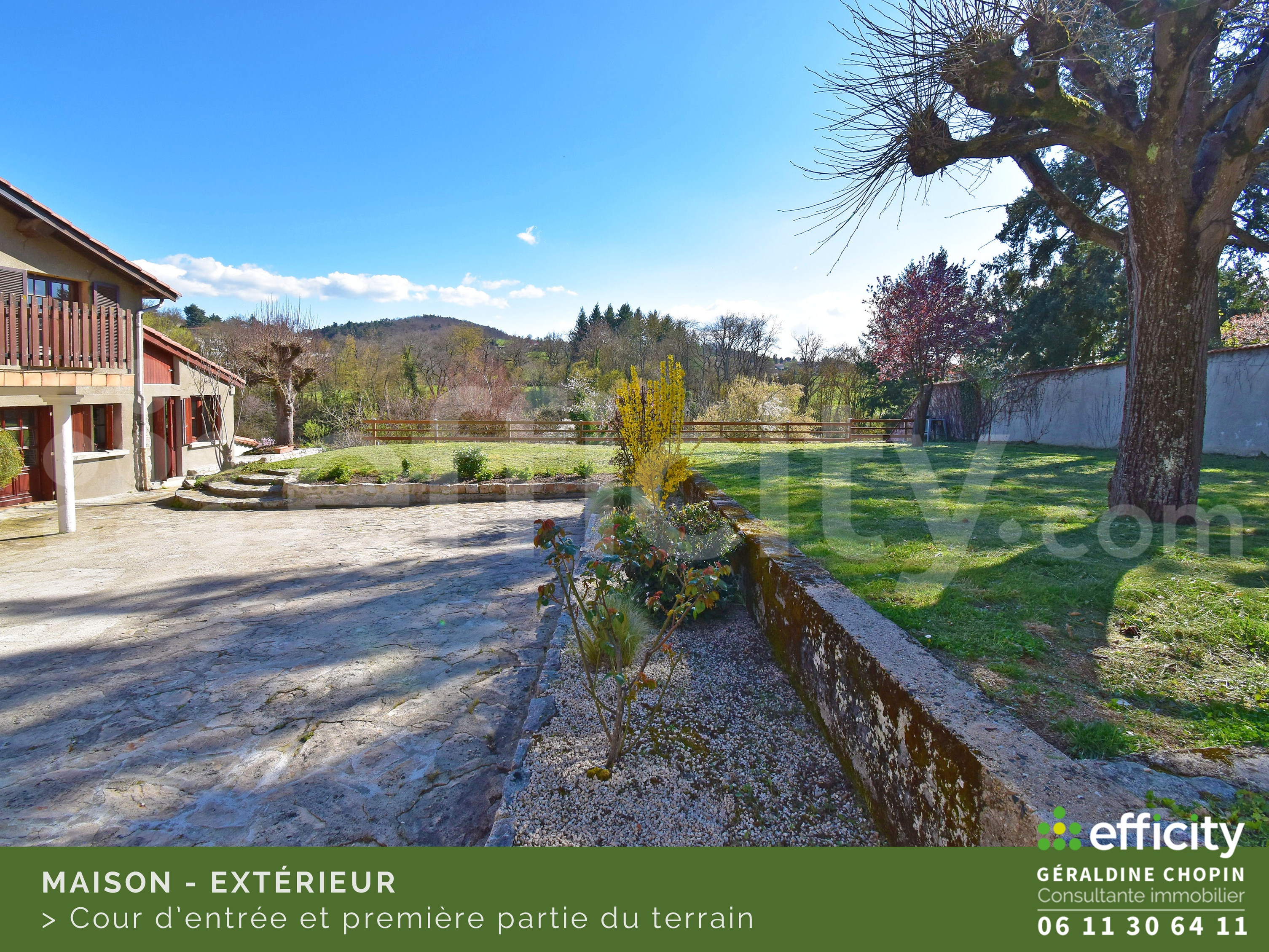 Achat immobilier Maison 7 pièces  160m2 à Saint-Galmier (42330) - Photo n°4