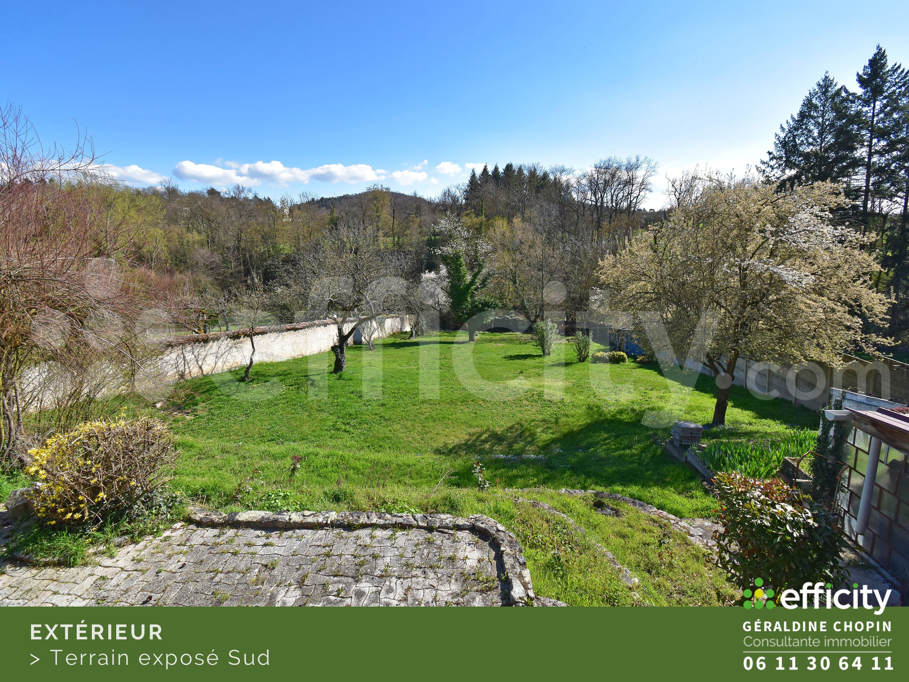 Achat immobilier Maison 7 pièces  160m2 à Saint-Galmier (42330) - Photo n°5