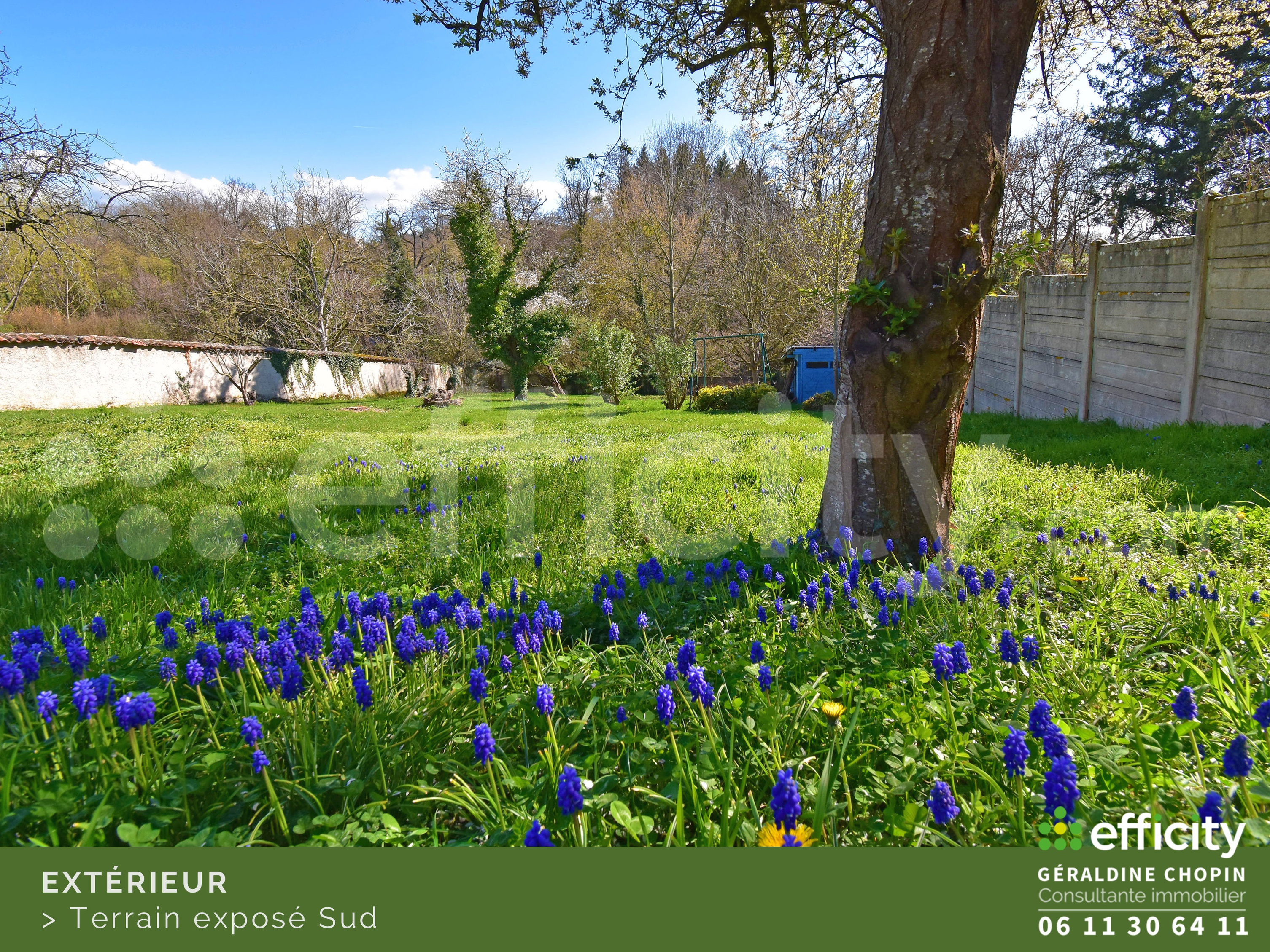 Achat immobilier Maison 7 pièces  160m2 à Saint-Galmier (42330) - Photo n°6
