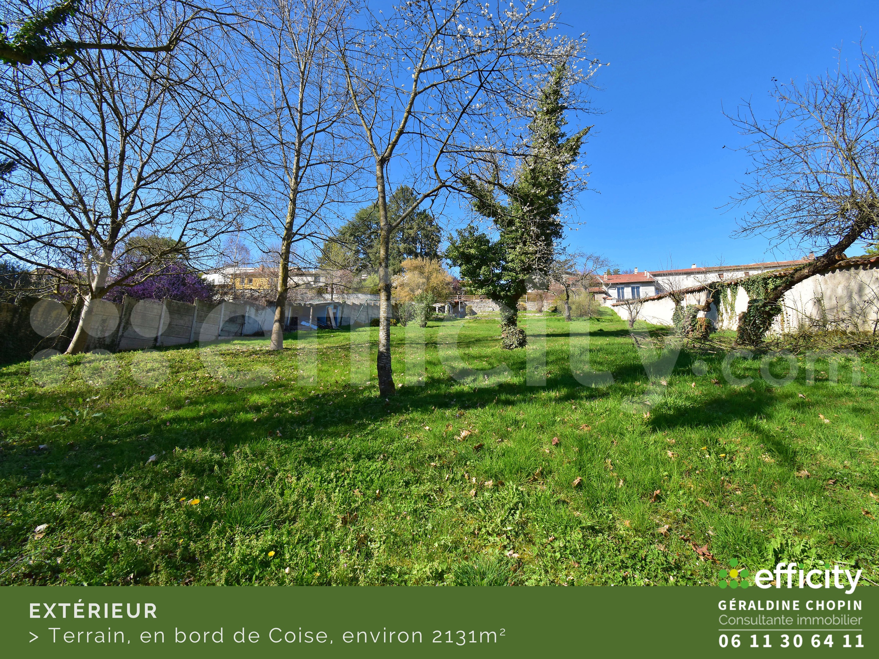 Achat immobilier Maison 7 pièces  160m2 à Saint-Galmier (42330) - Photo n°7